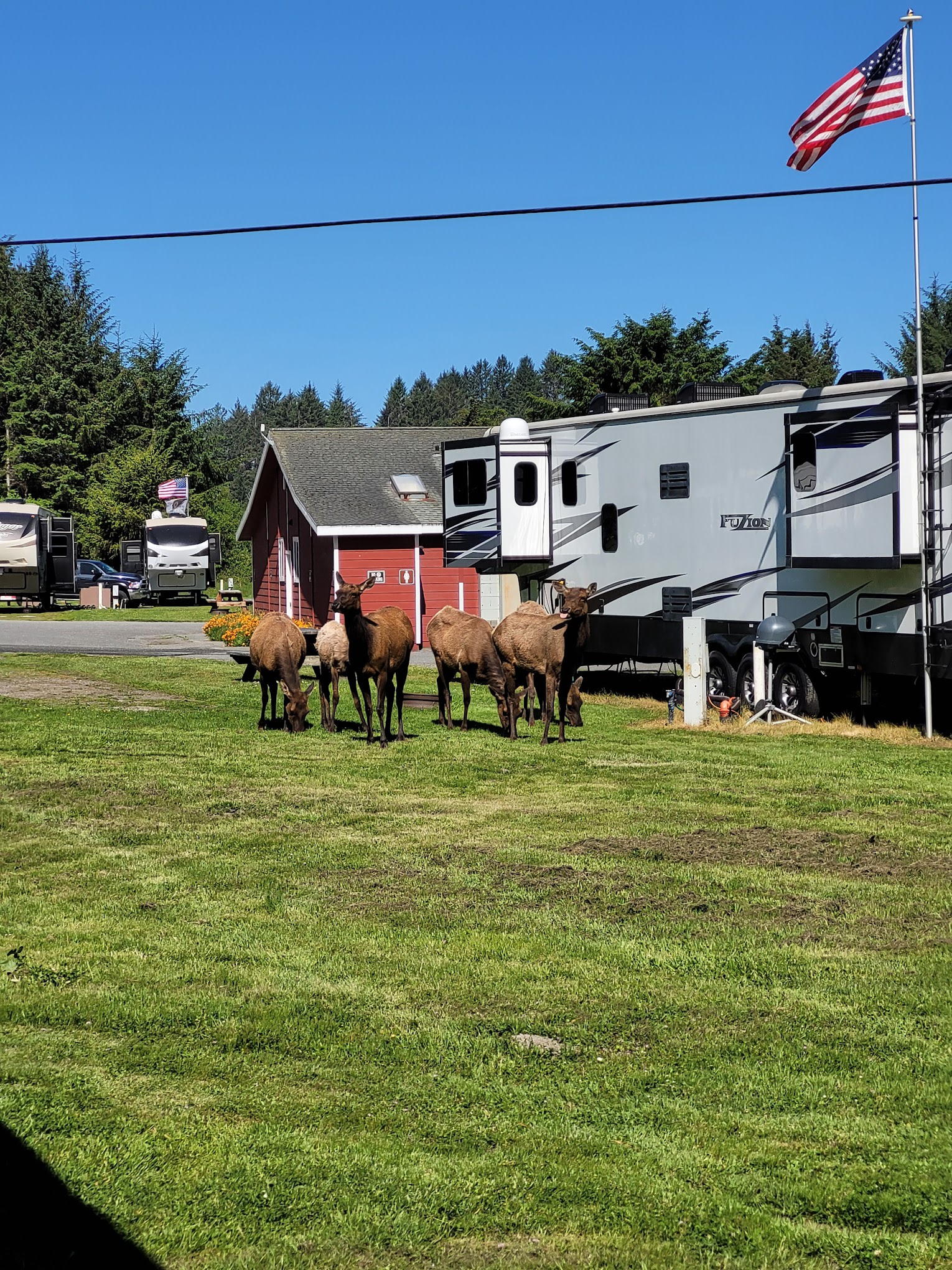 Elk Country RV Resort & Campground