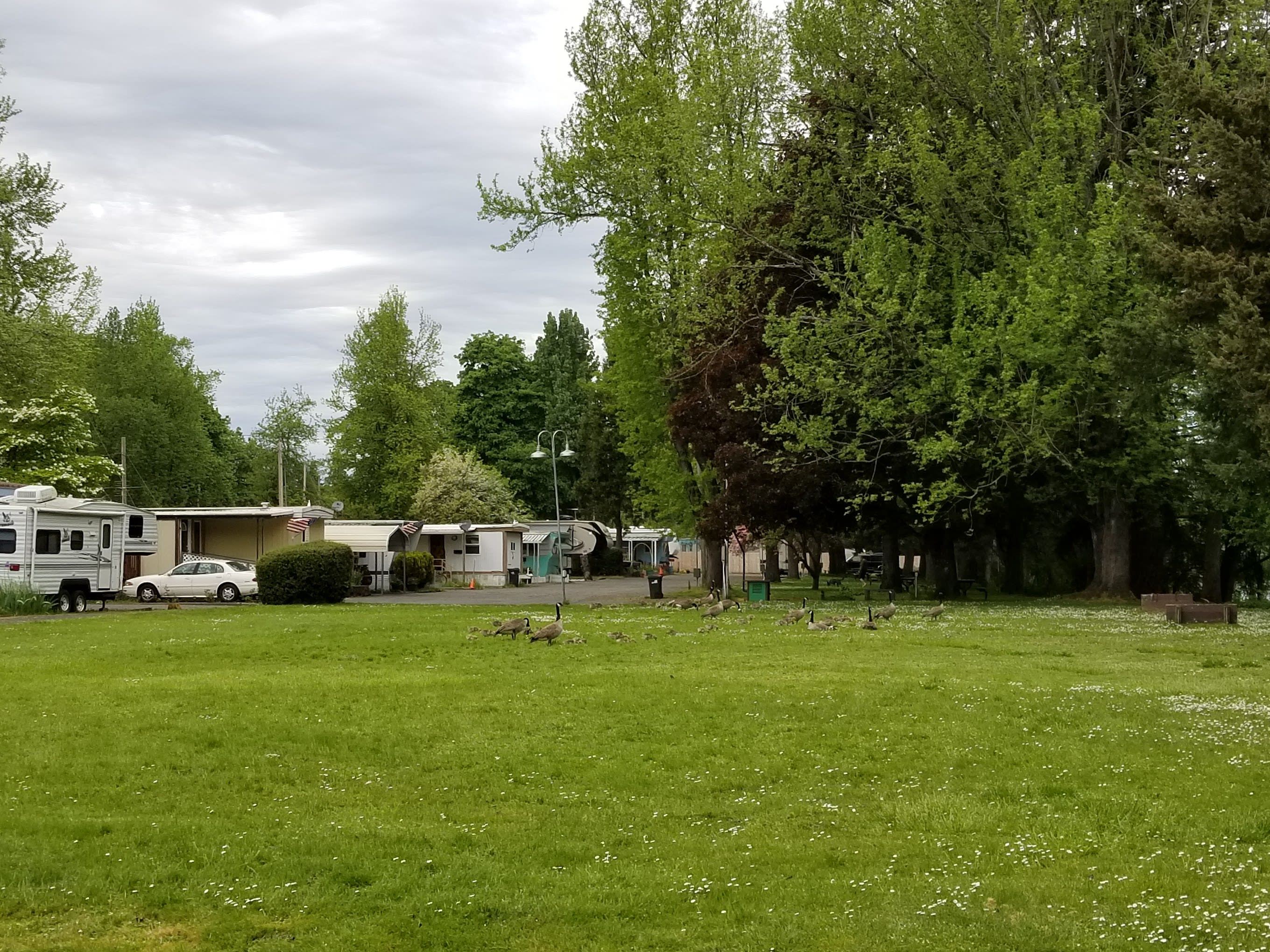 Shamrock Village RV Park