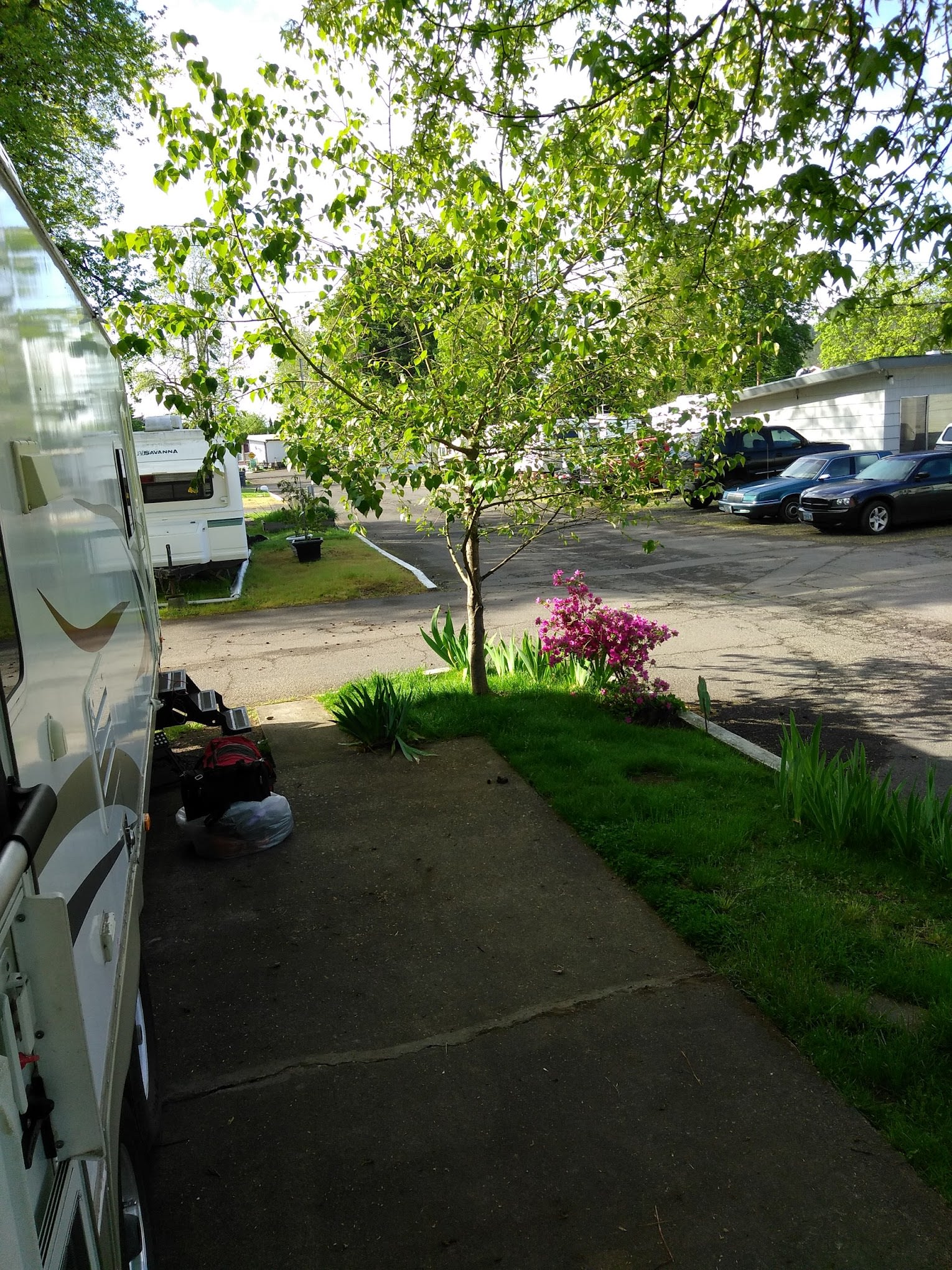 Shamrock Village RV Park