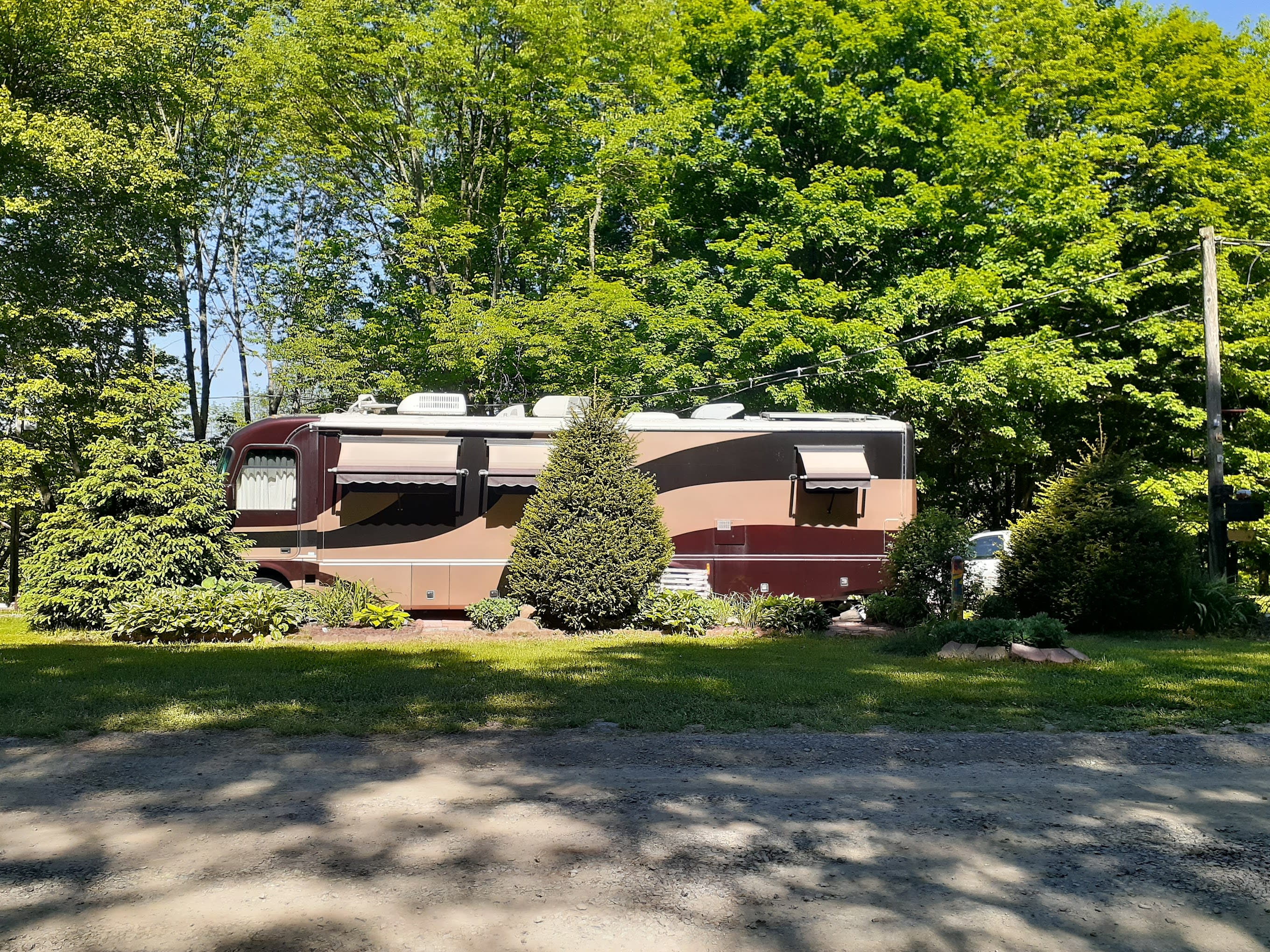 Forest Lake Camp