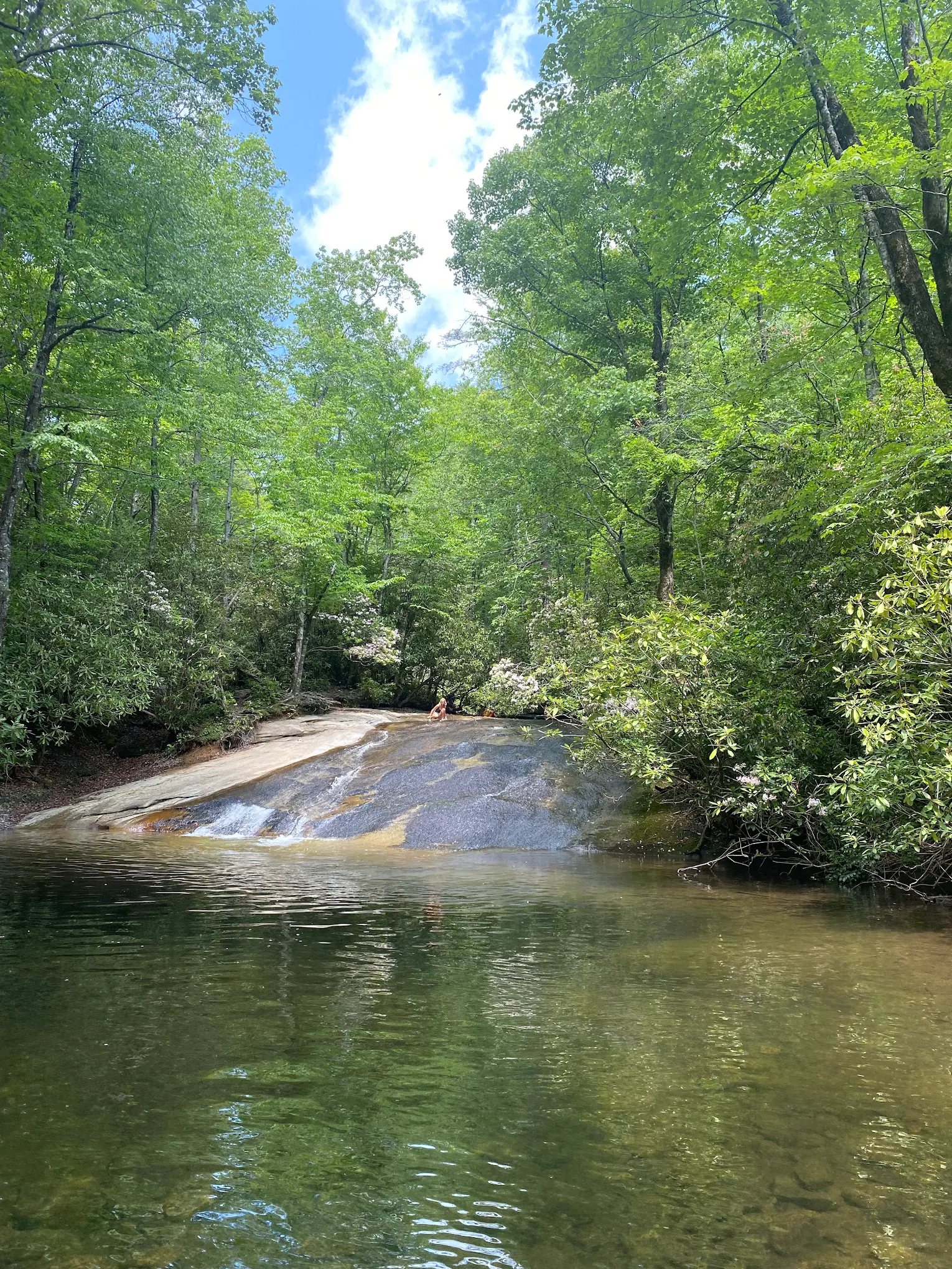 Cove Creek Group Campground