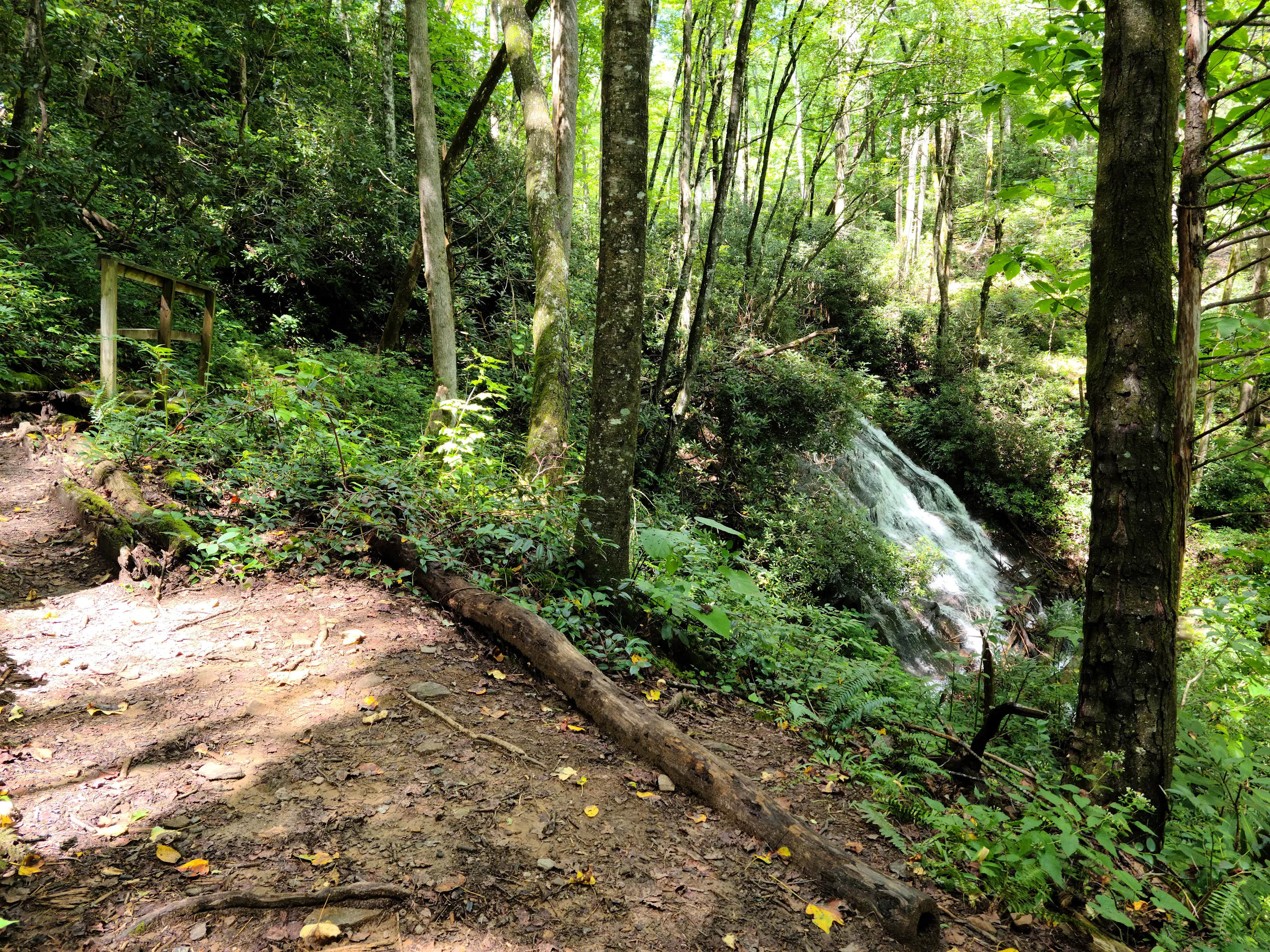 Cove Creek Group Campground