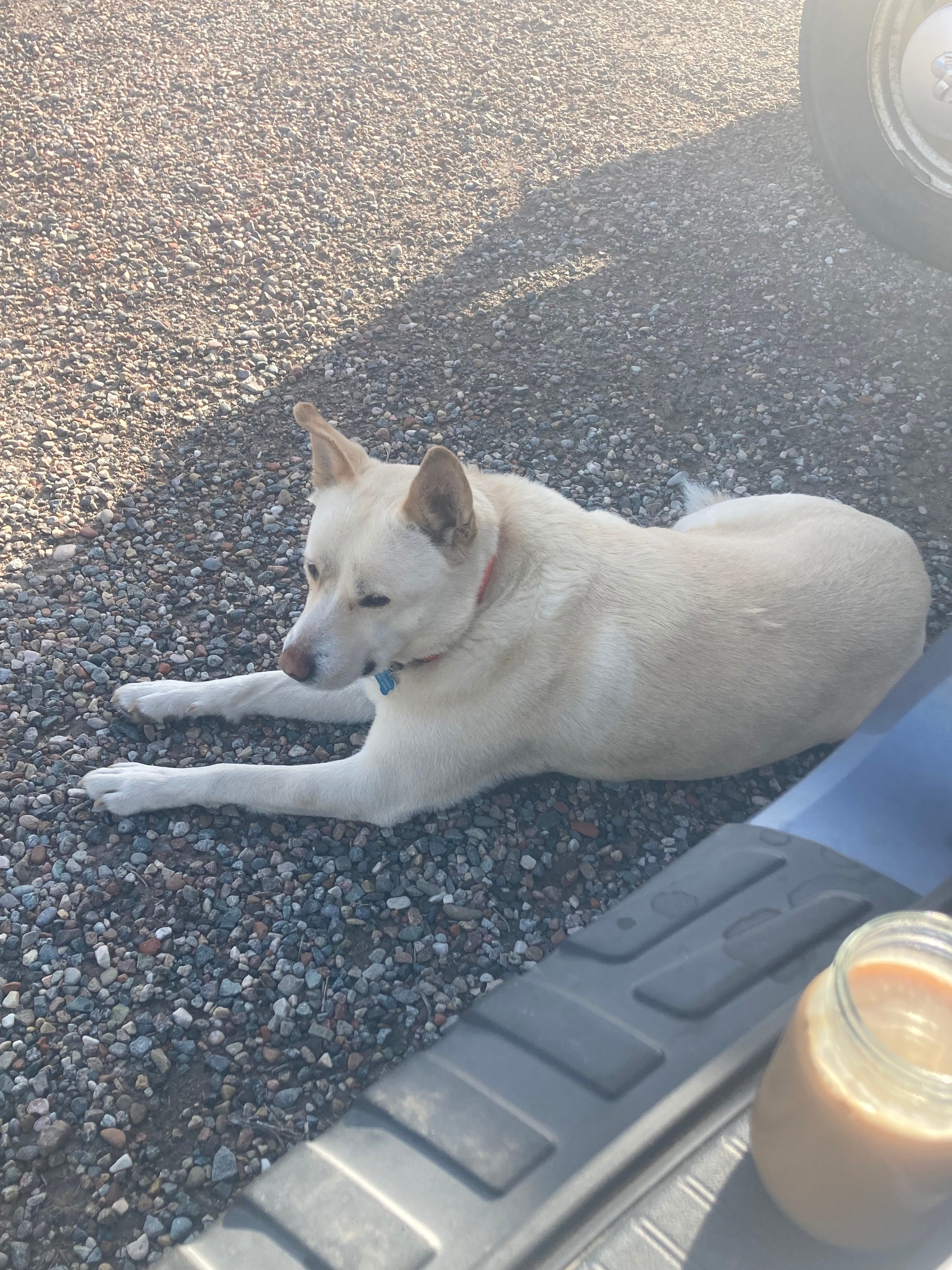 Stoneyard Distillery Awesome Possum RV Camping