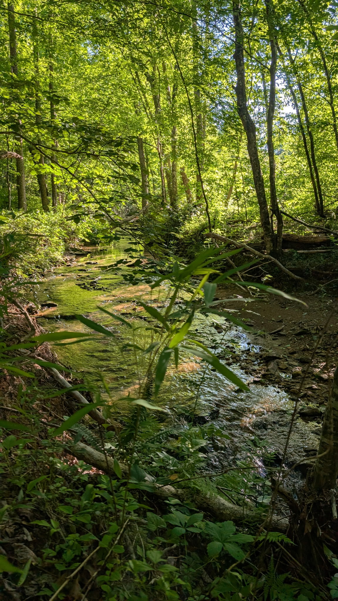 Earth Center Campground and Retreat