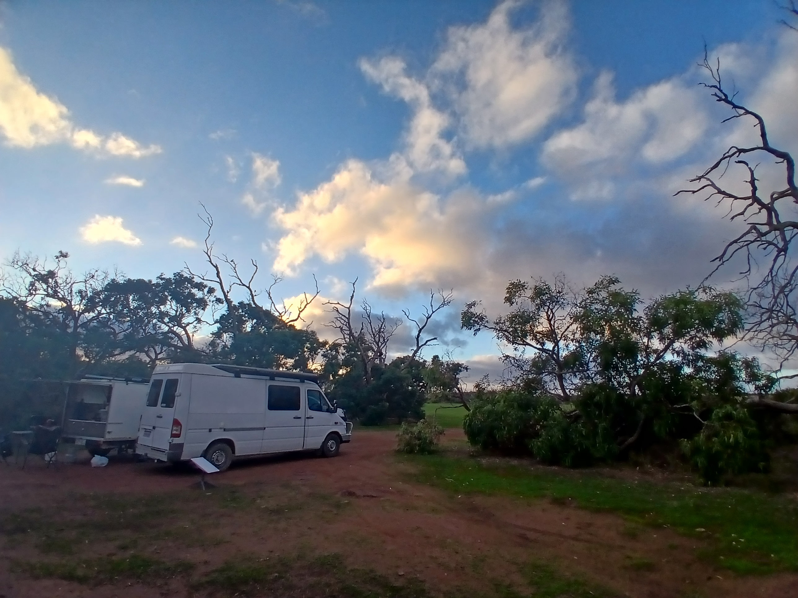 Mikkira Station Koala Sanctuary