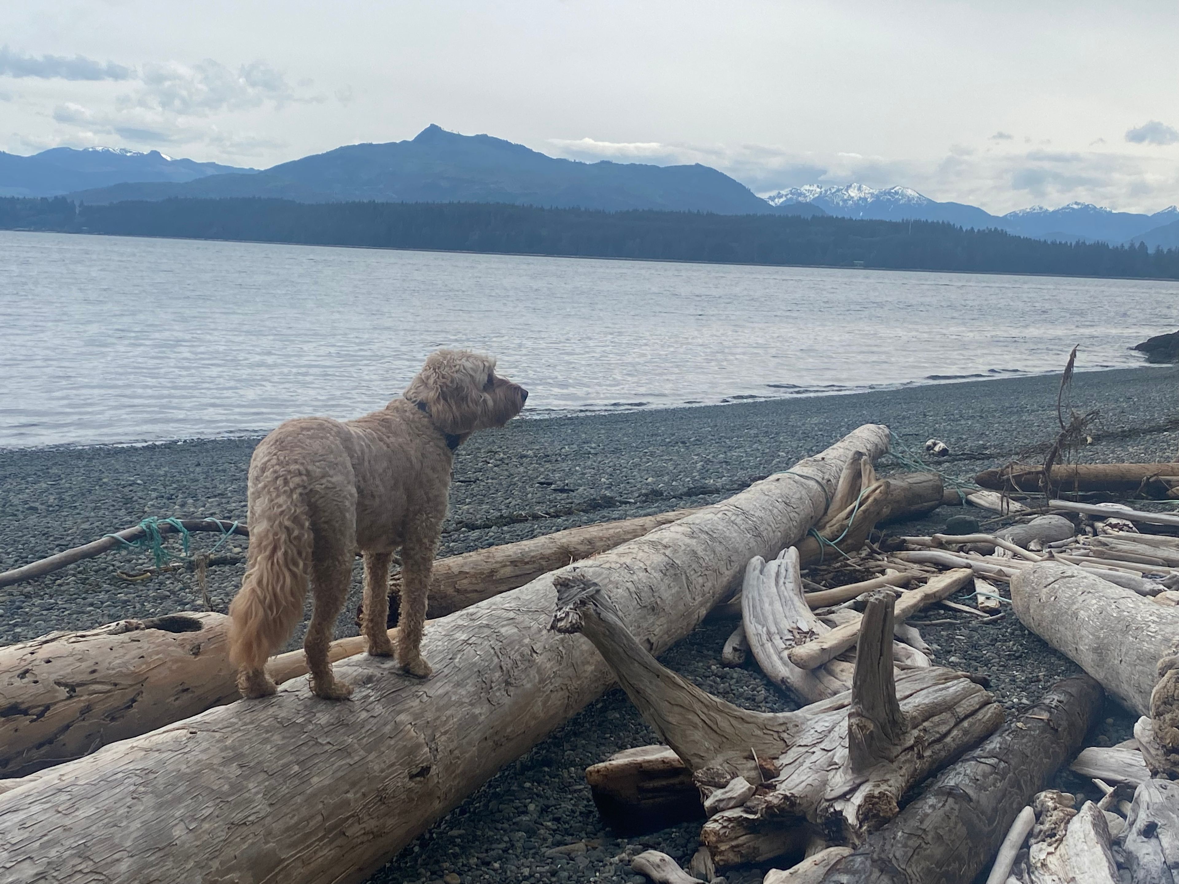 Rauhala Heritage Farm