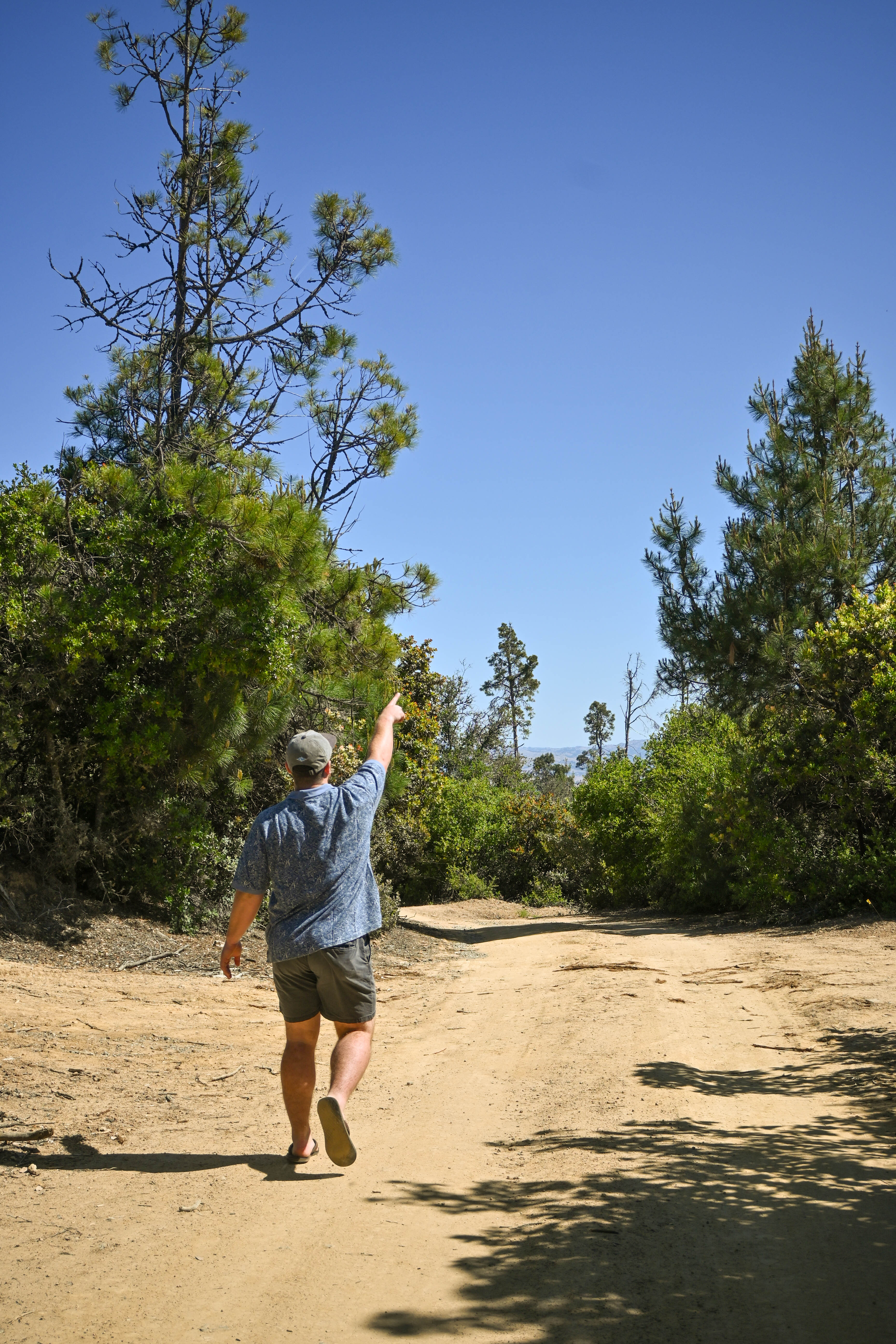 Went on a walk to find birds!