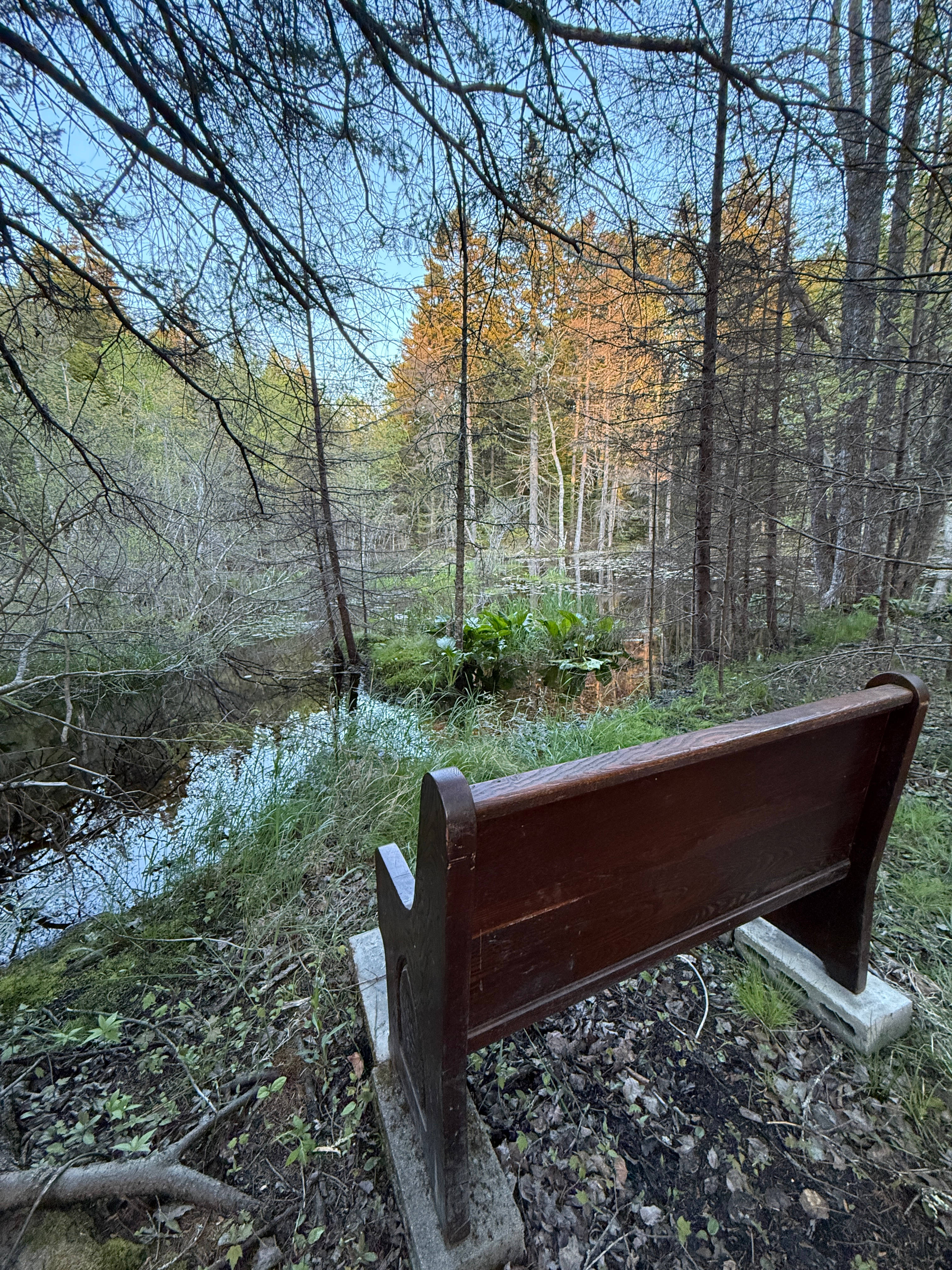 Woodhollow Cove