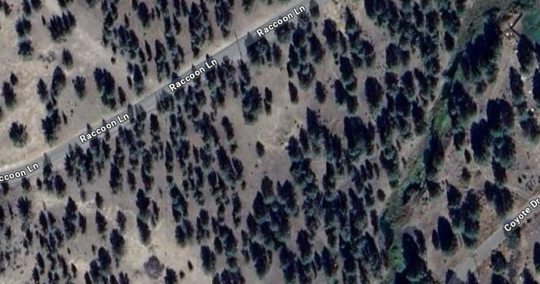 Prosperity Pines Hideaway Camp