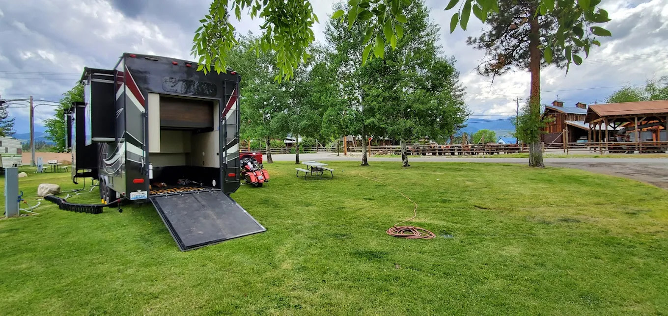 Pine Near RV Park & Campground