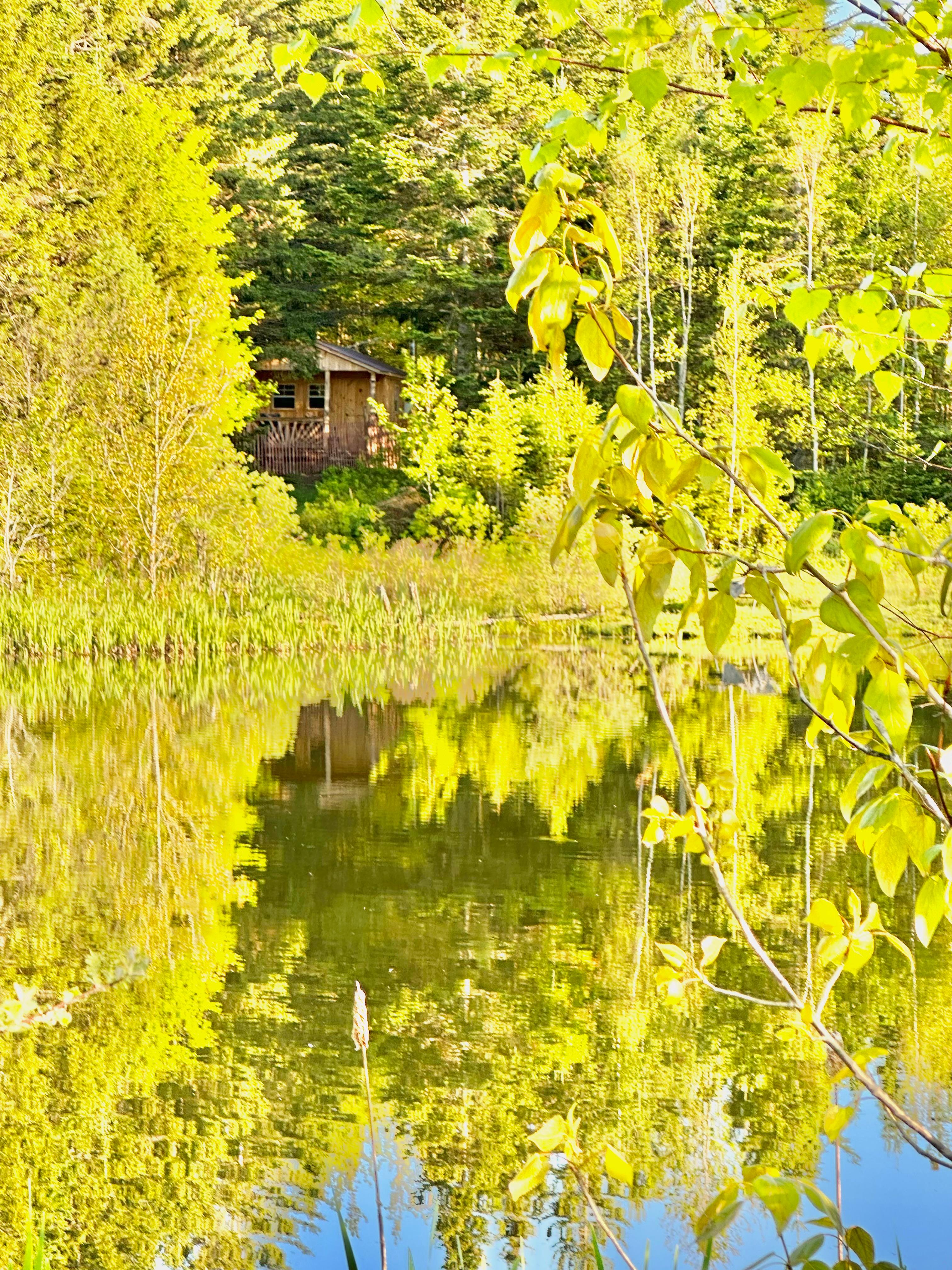 Greenhope Cabins