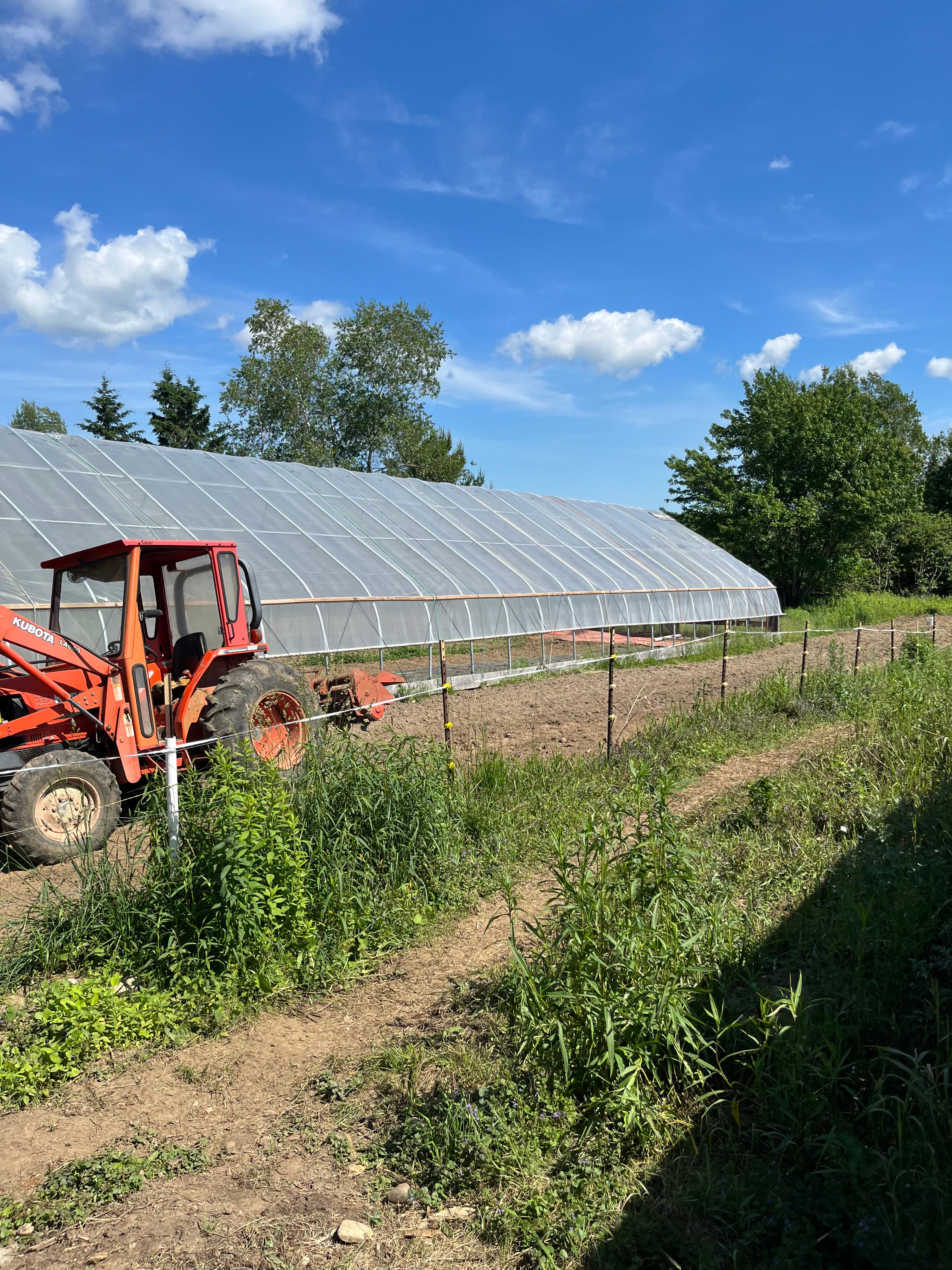 Grandpa Jessie’s backyard