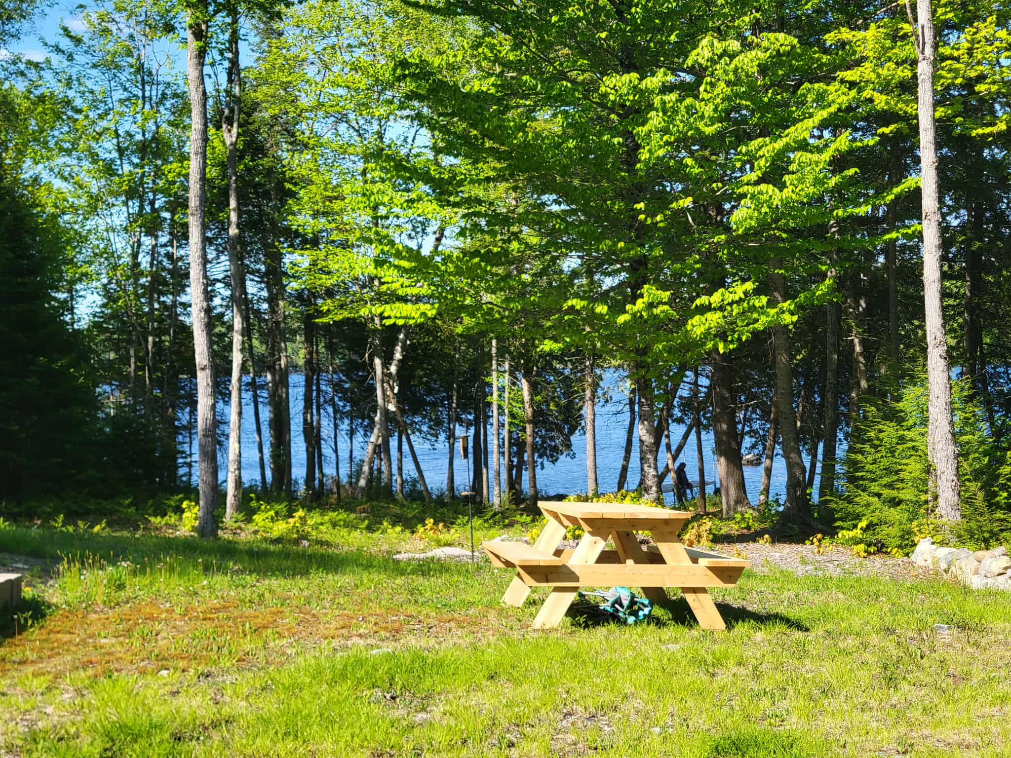 Loon Call Camp