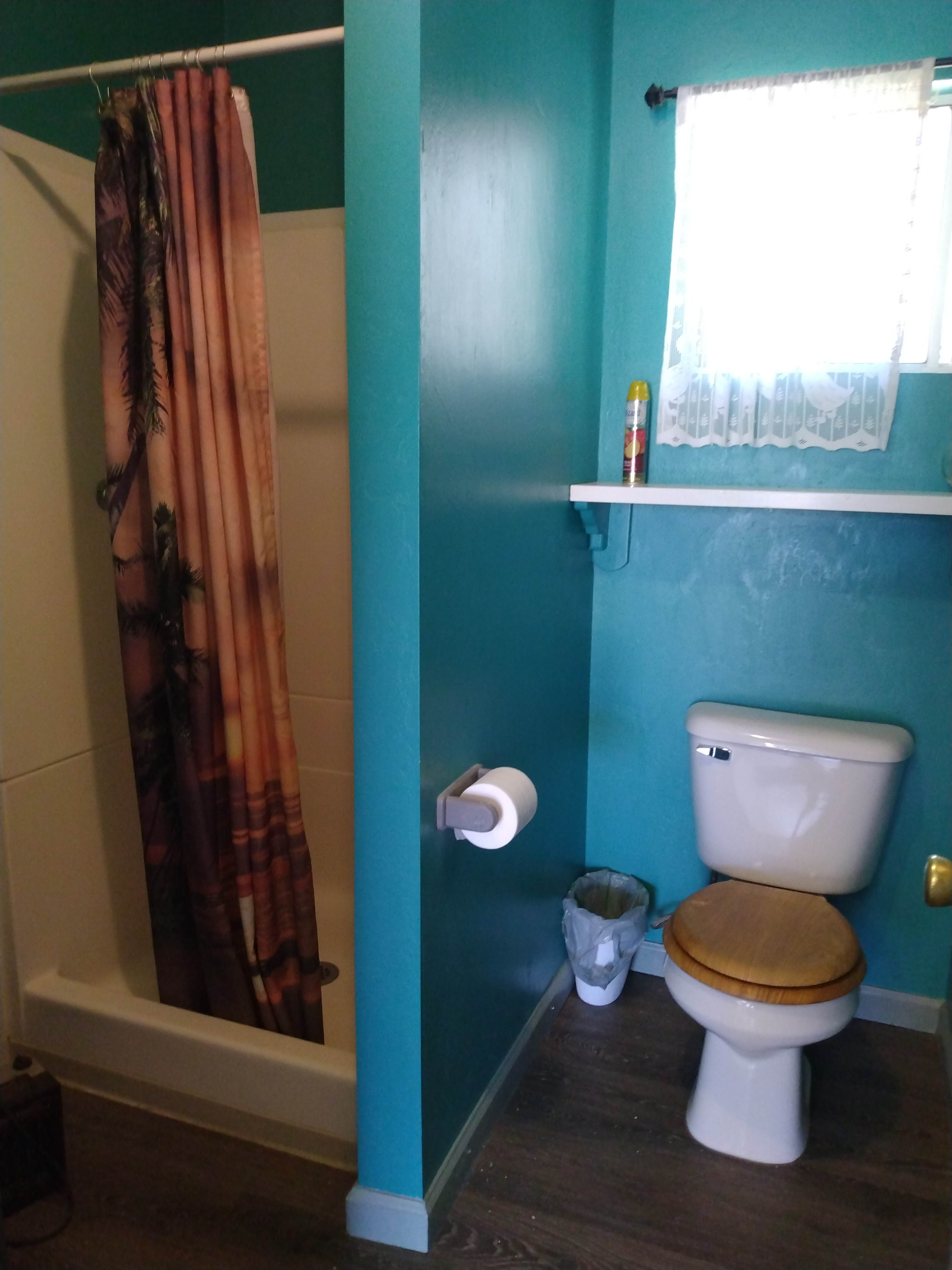 3/4 guest bath with sink and shower