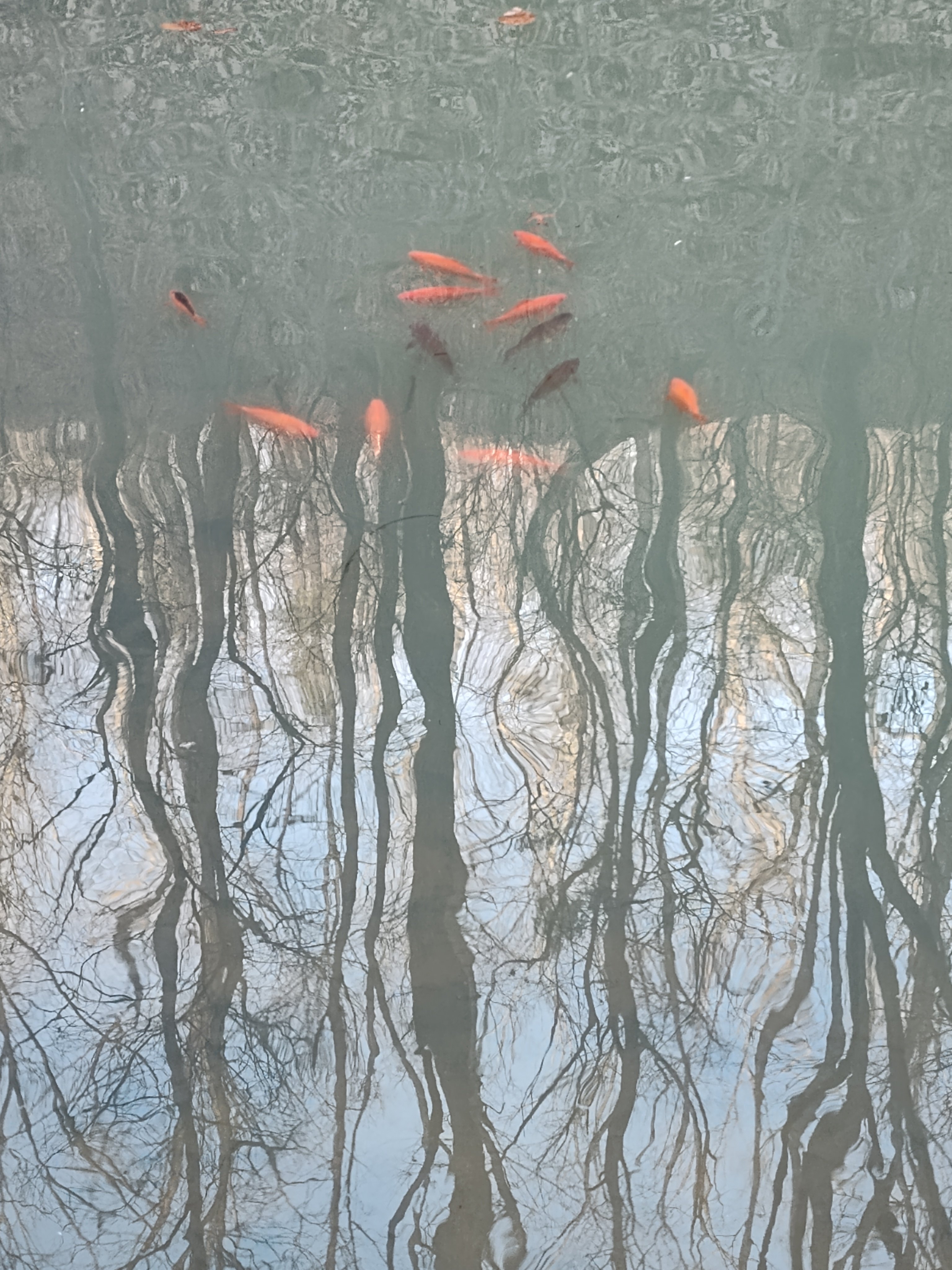 Big Foot Holler Camping