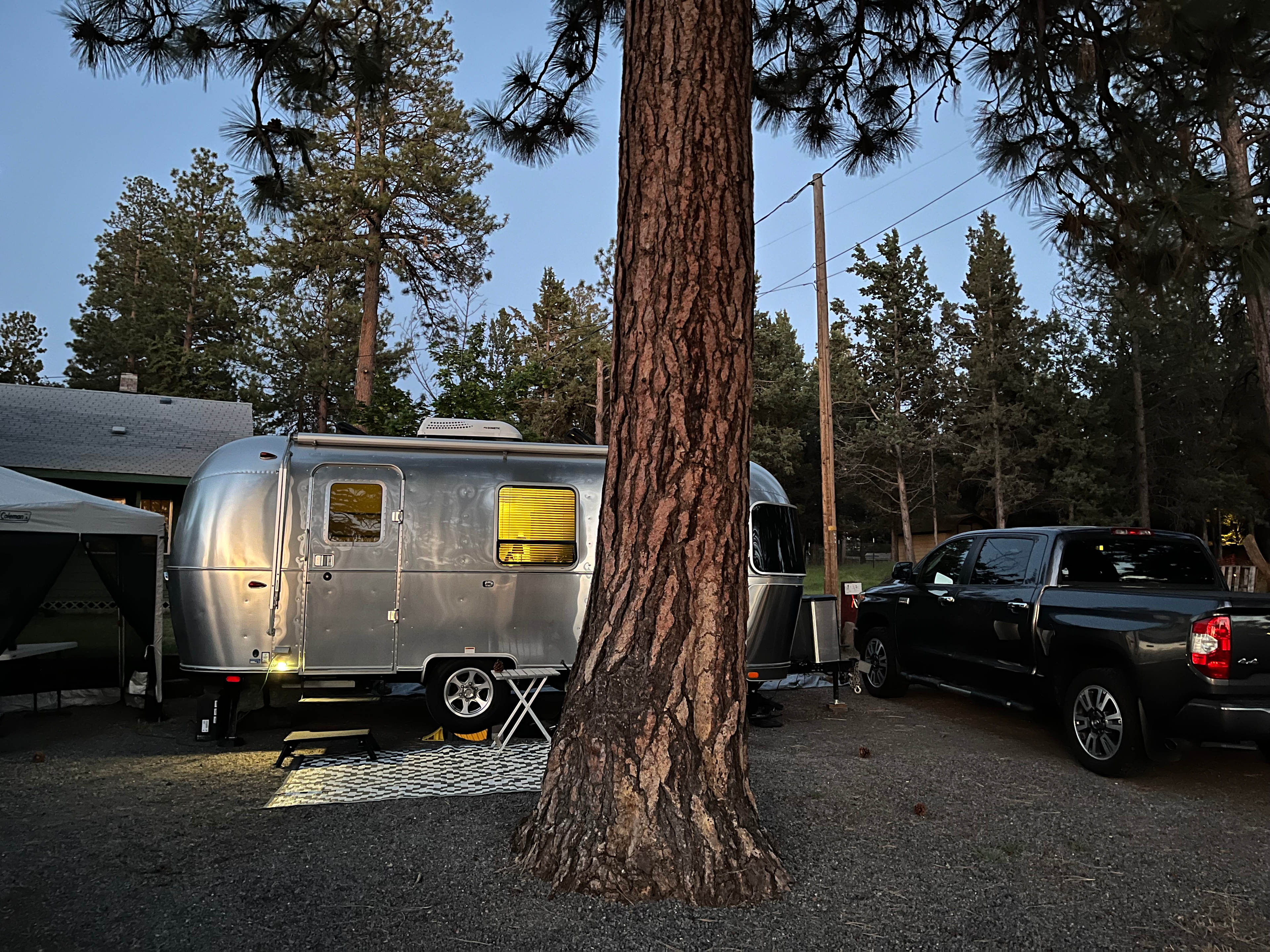 Sunny Ponderosa Camp