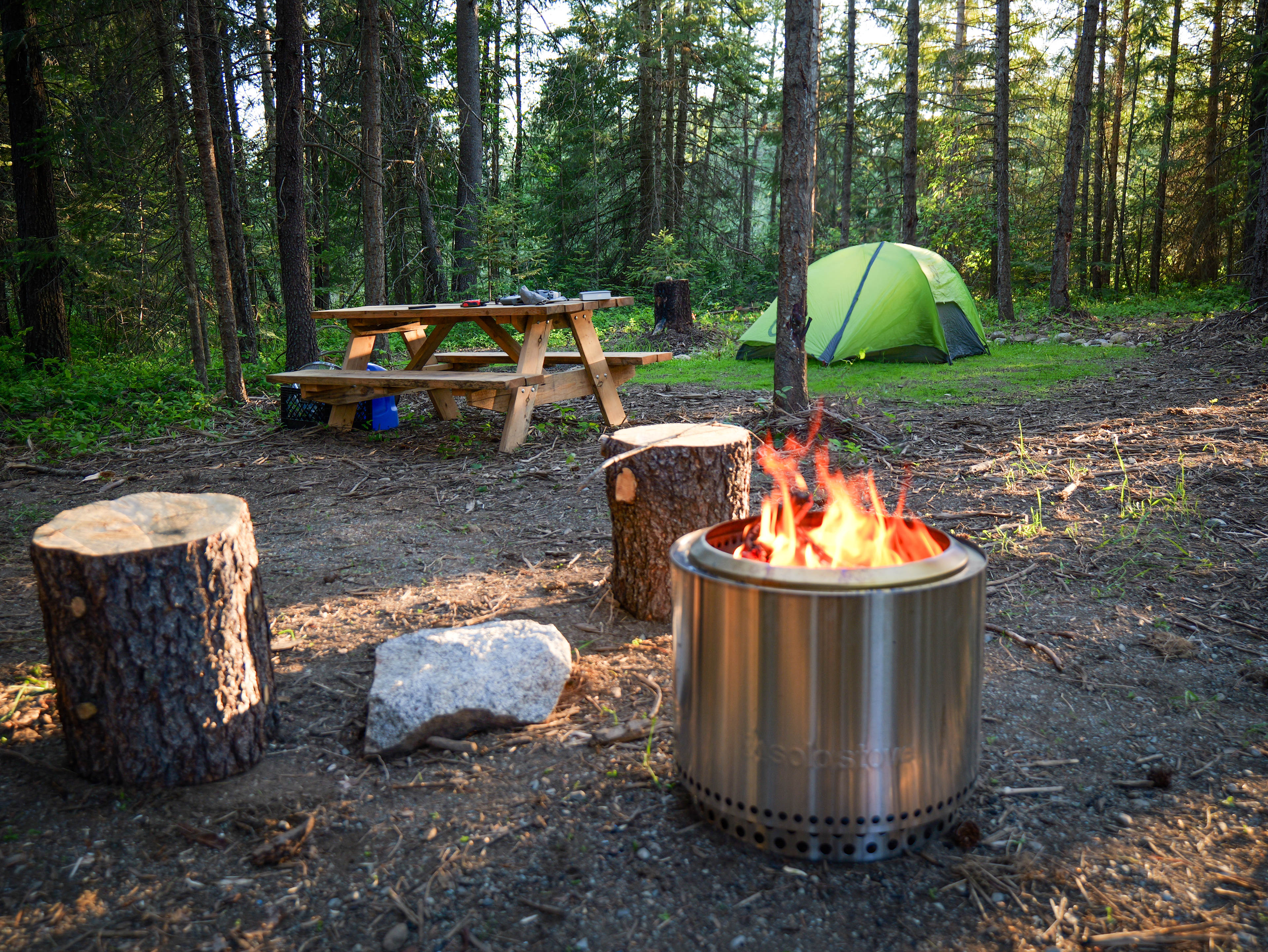 This is 'The Bee Tree' site and it shows the whole scene. Guests will get their own private smokeless firepit, picnic table, and two clover tent pads.