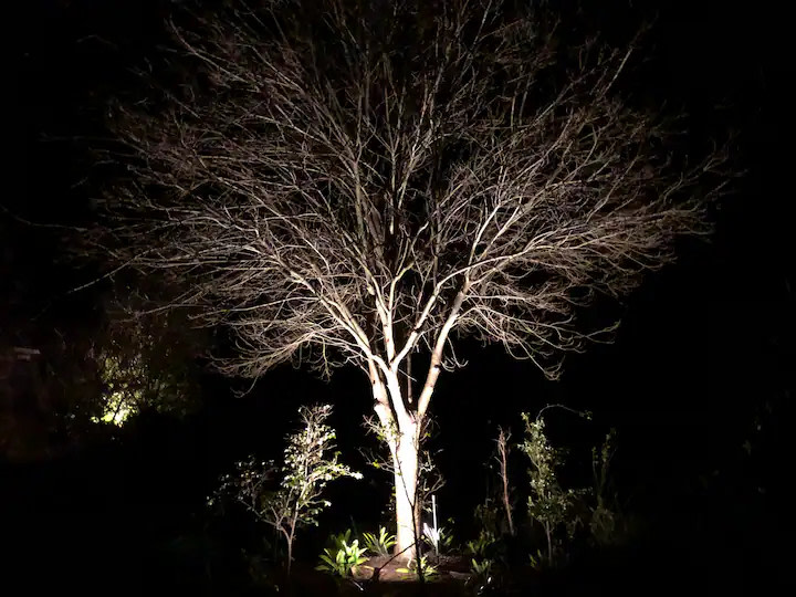 Lakeside Garden Chalet