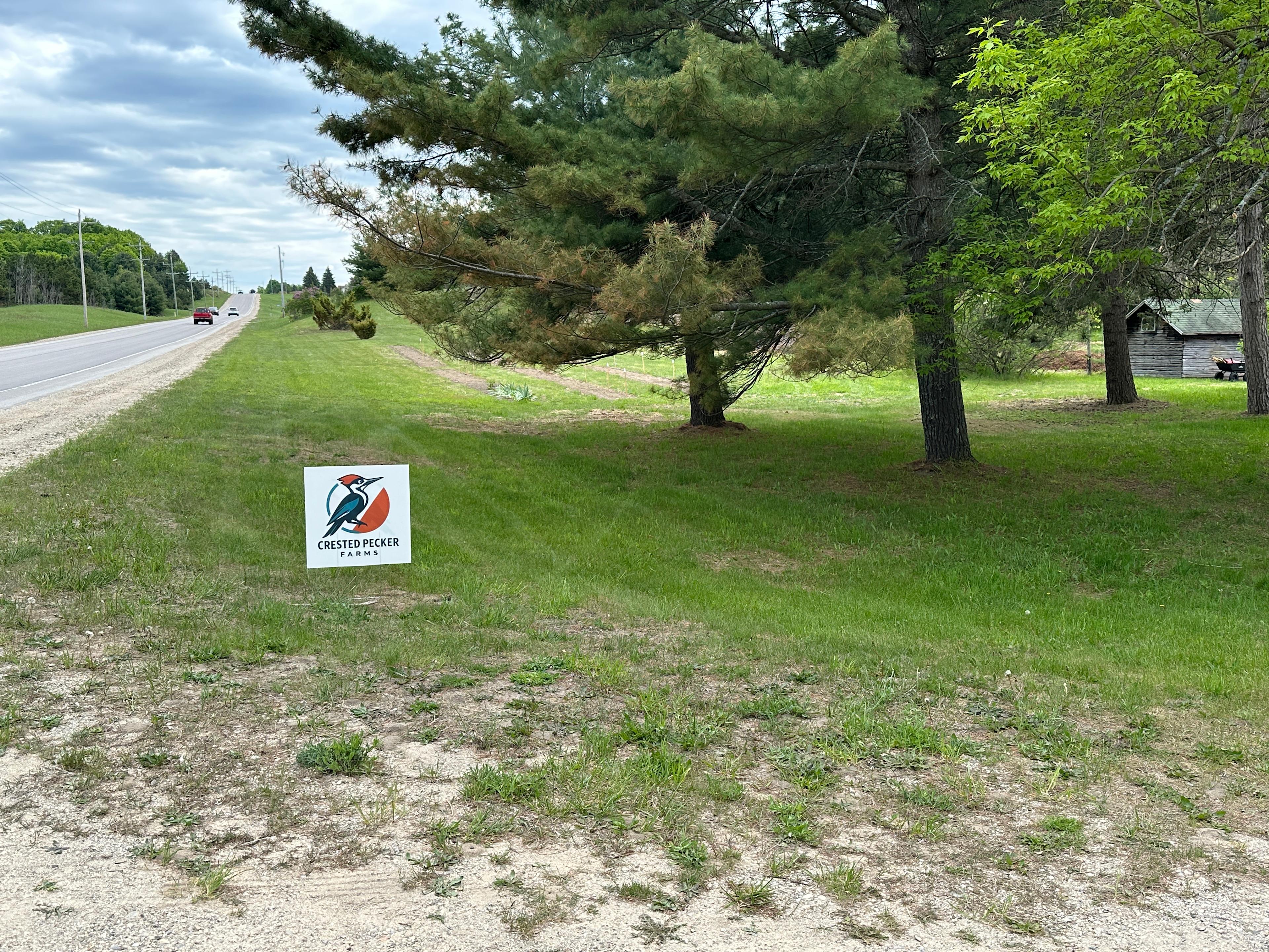 Torch Lake Or Elk Lake Base Camp