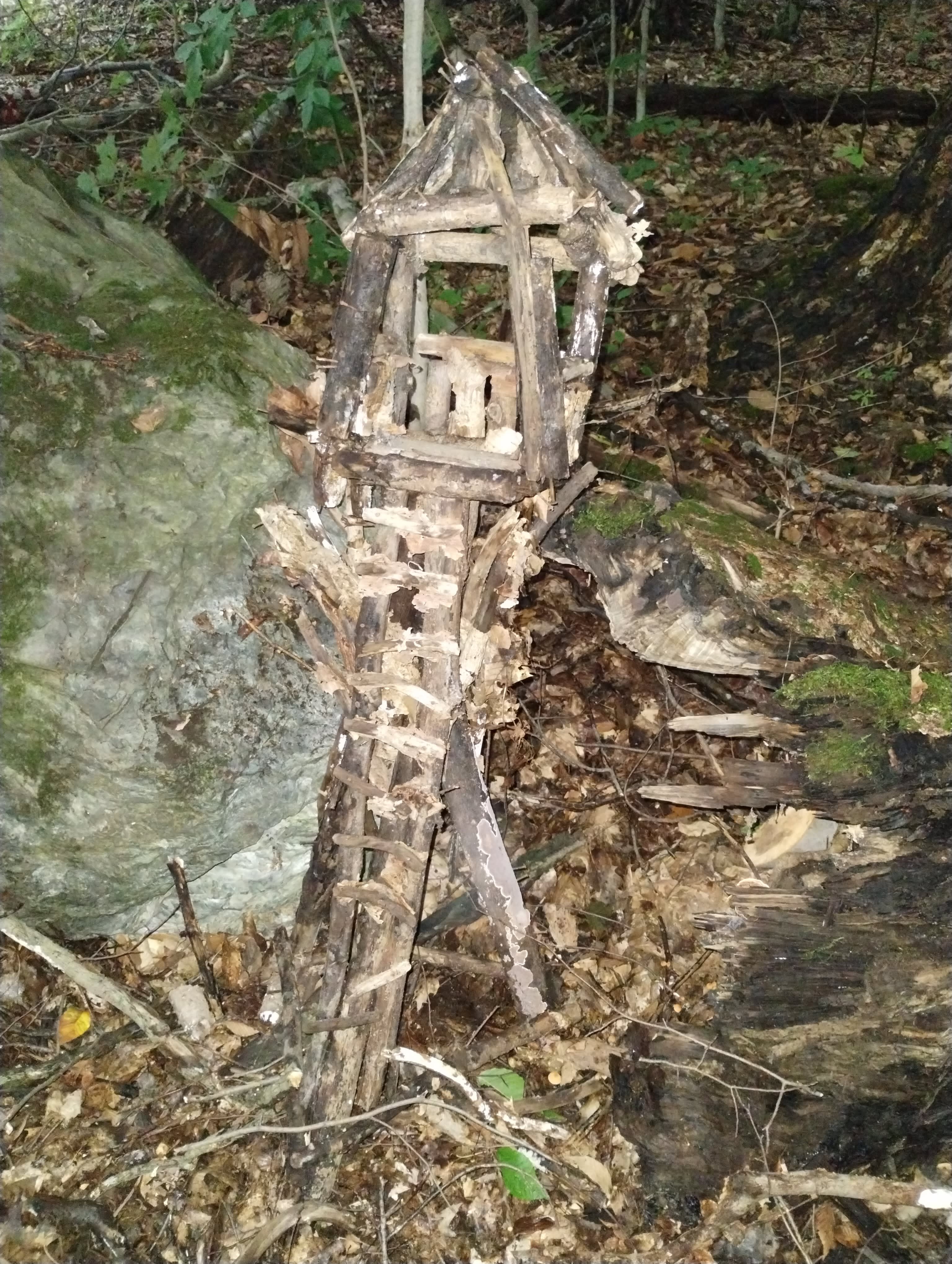 Lilly Hill Forest Camp