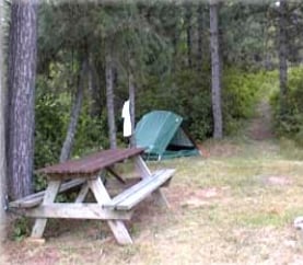 Rohr's Wilderness Tours