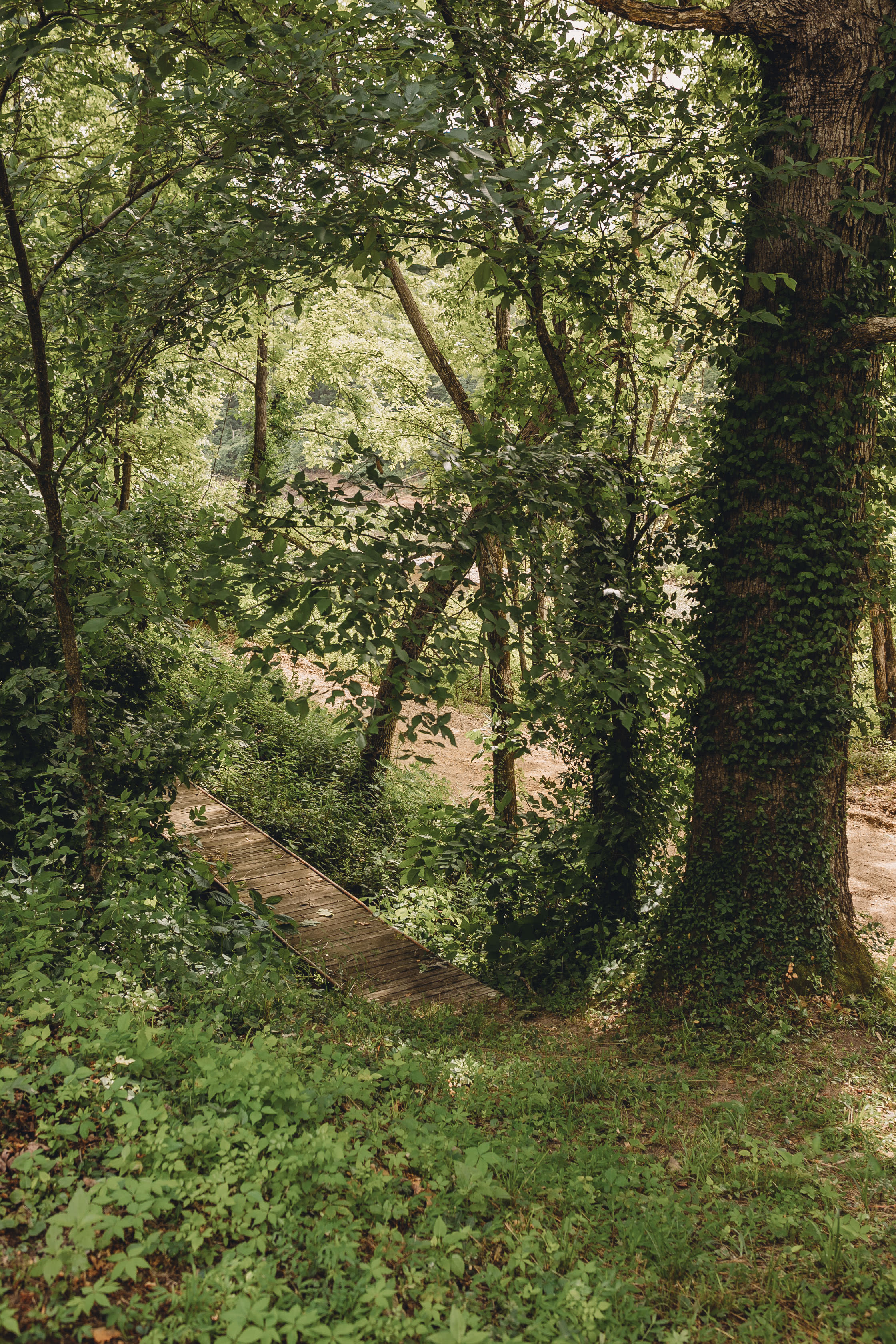 Cedar Mere Riverside