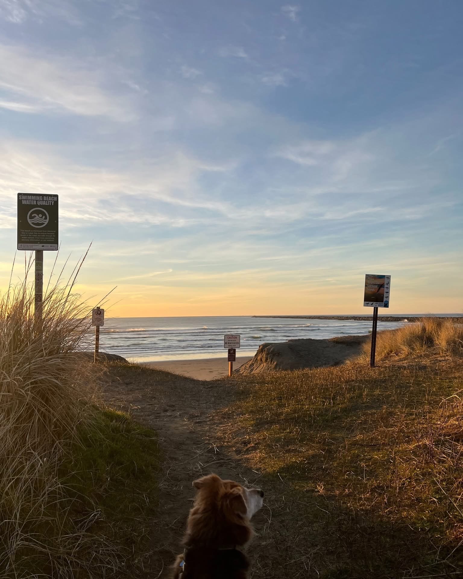 Glamping At The Beach