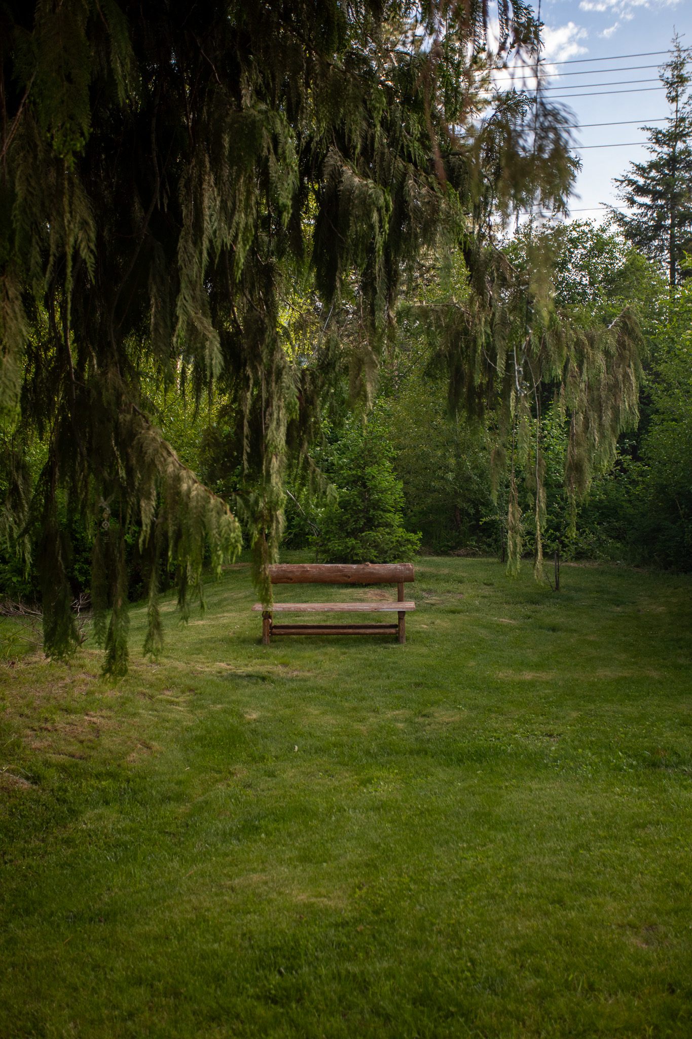 Corner with a bench to hang out