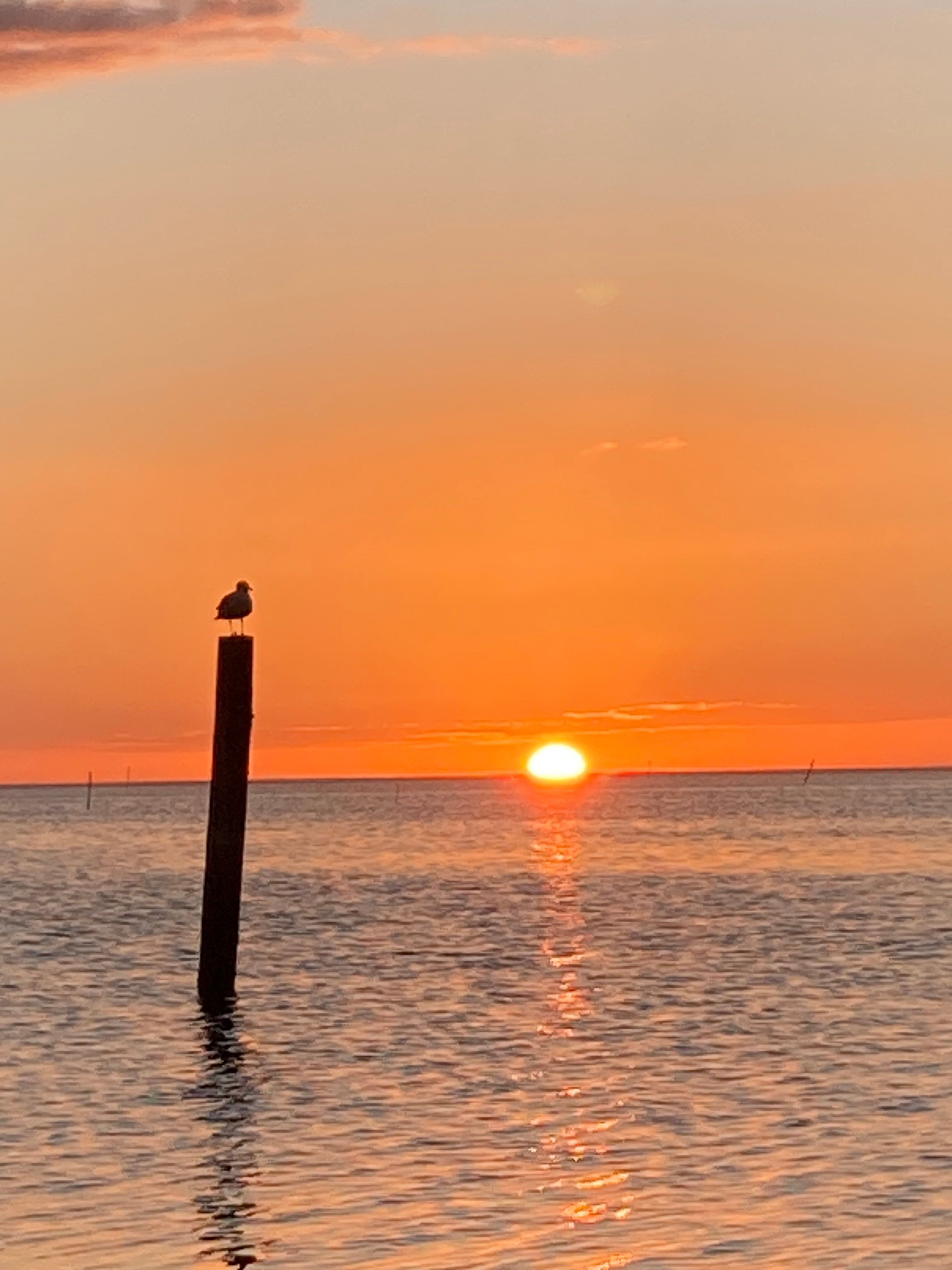 Gulf Coast RV Site