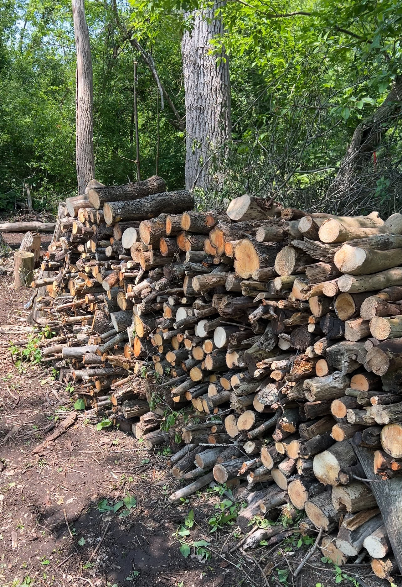 Lots of firewood for your campfires! Included at no additional charge!