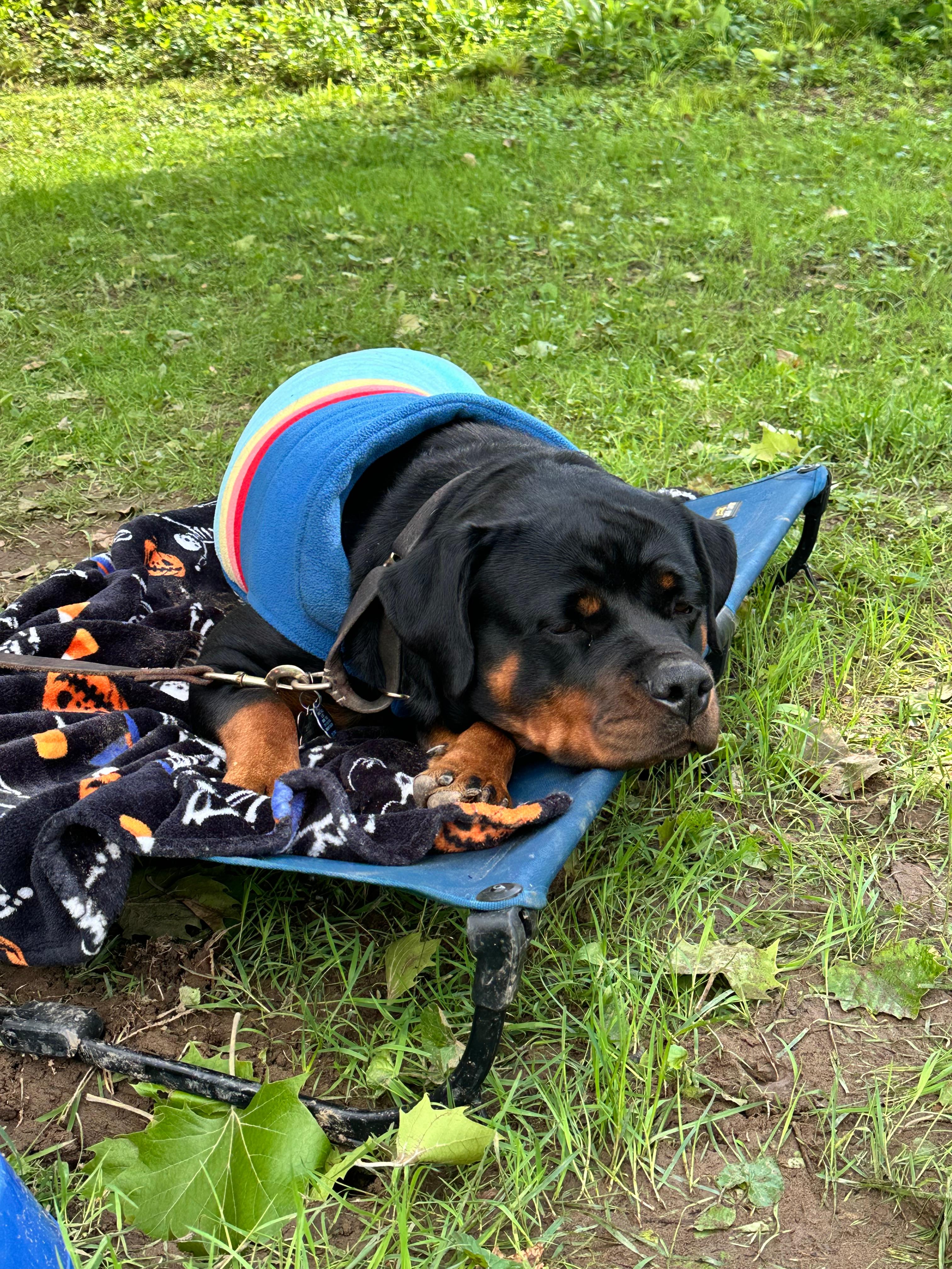 Private Riverside Retreat