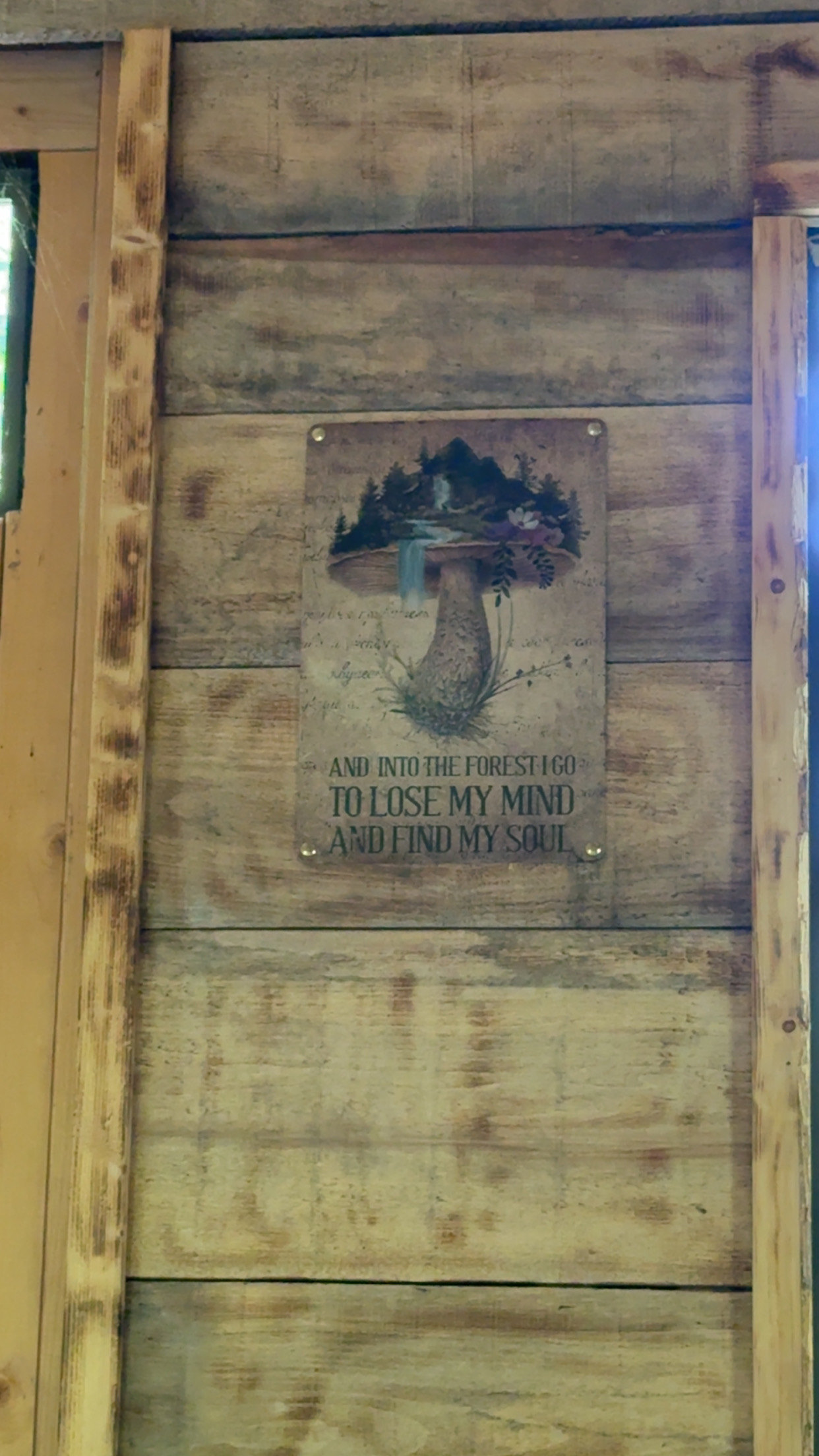 Clean wood interior, mini fridge, coffee pot, books