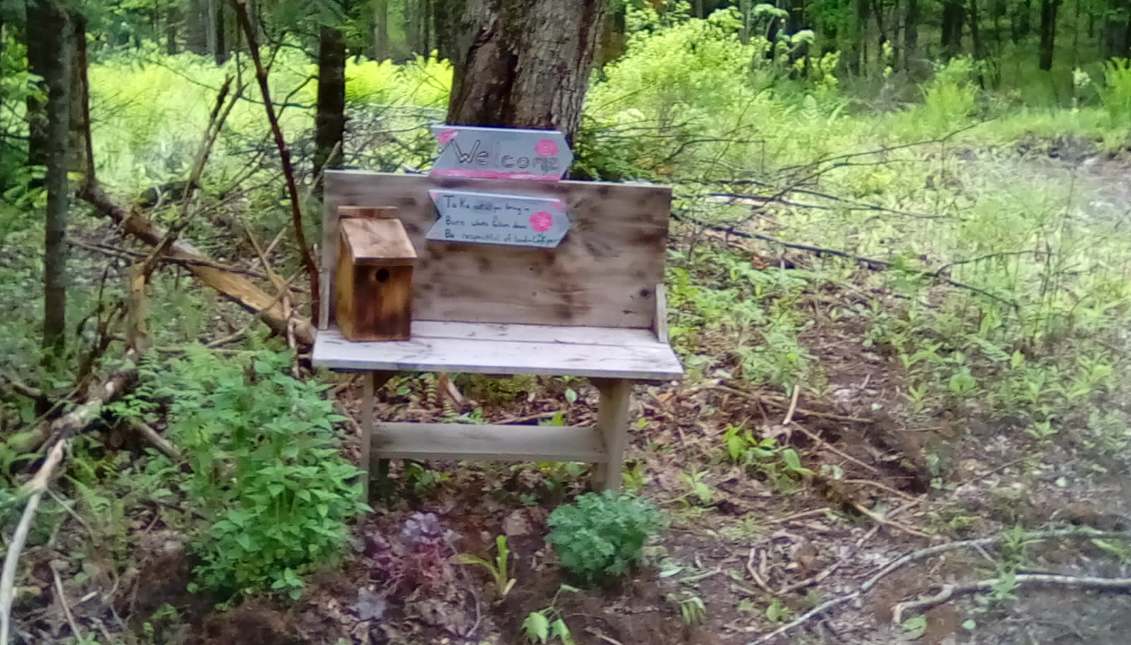 Down to earth Tenting.