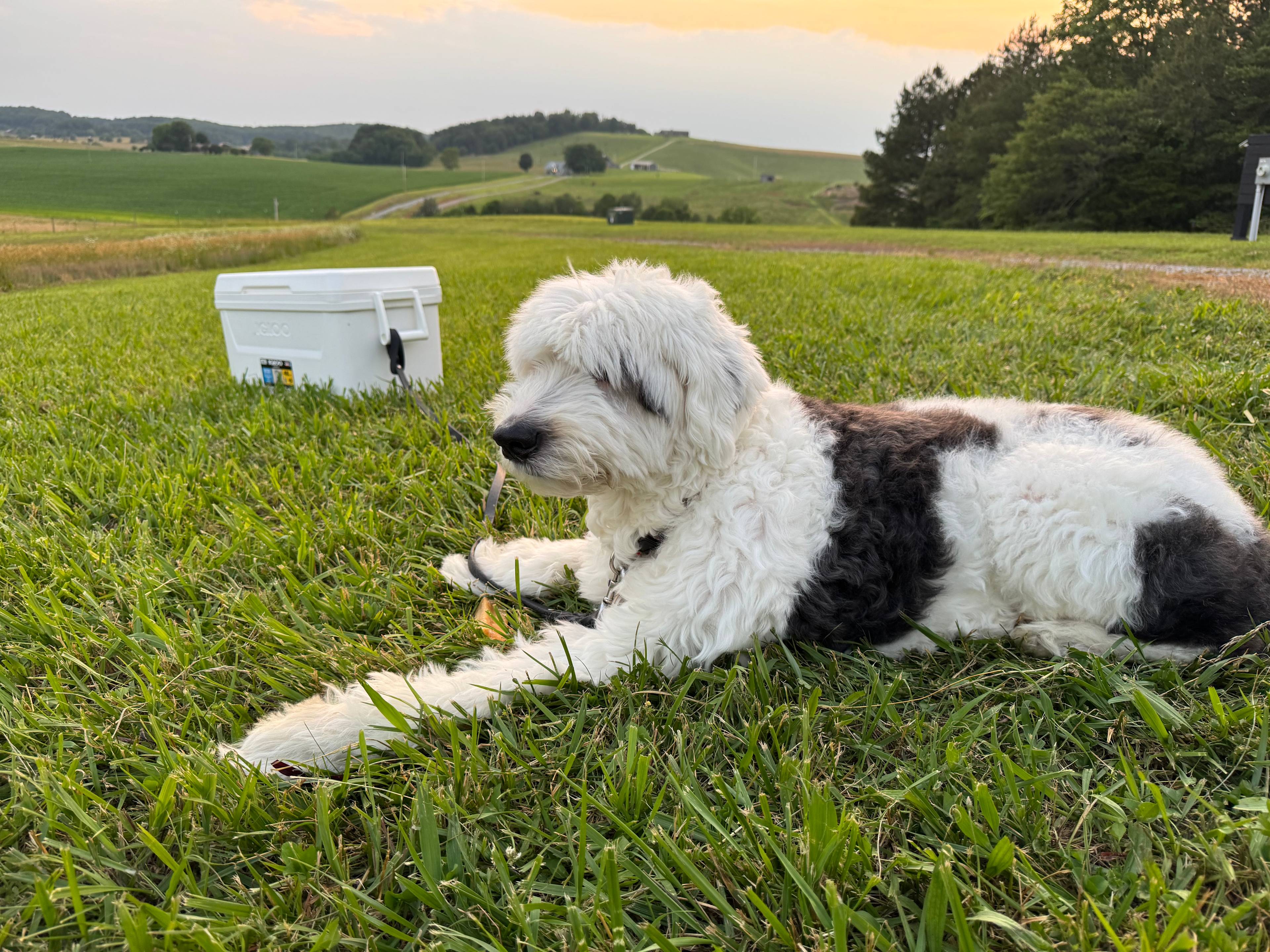 East Tennessee Hilltop Campsite