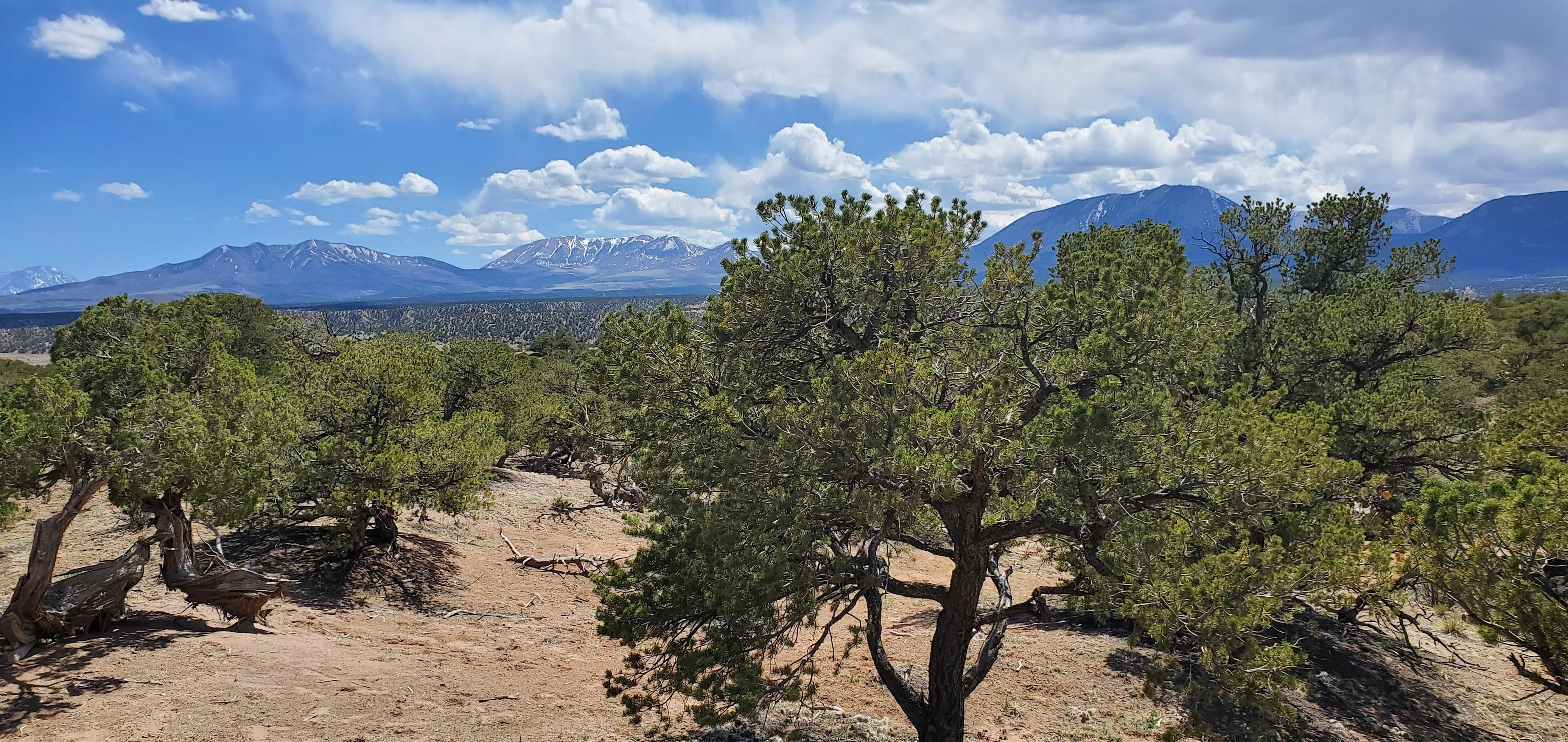 The Nomad Ranch