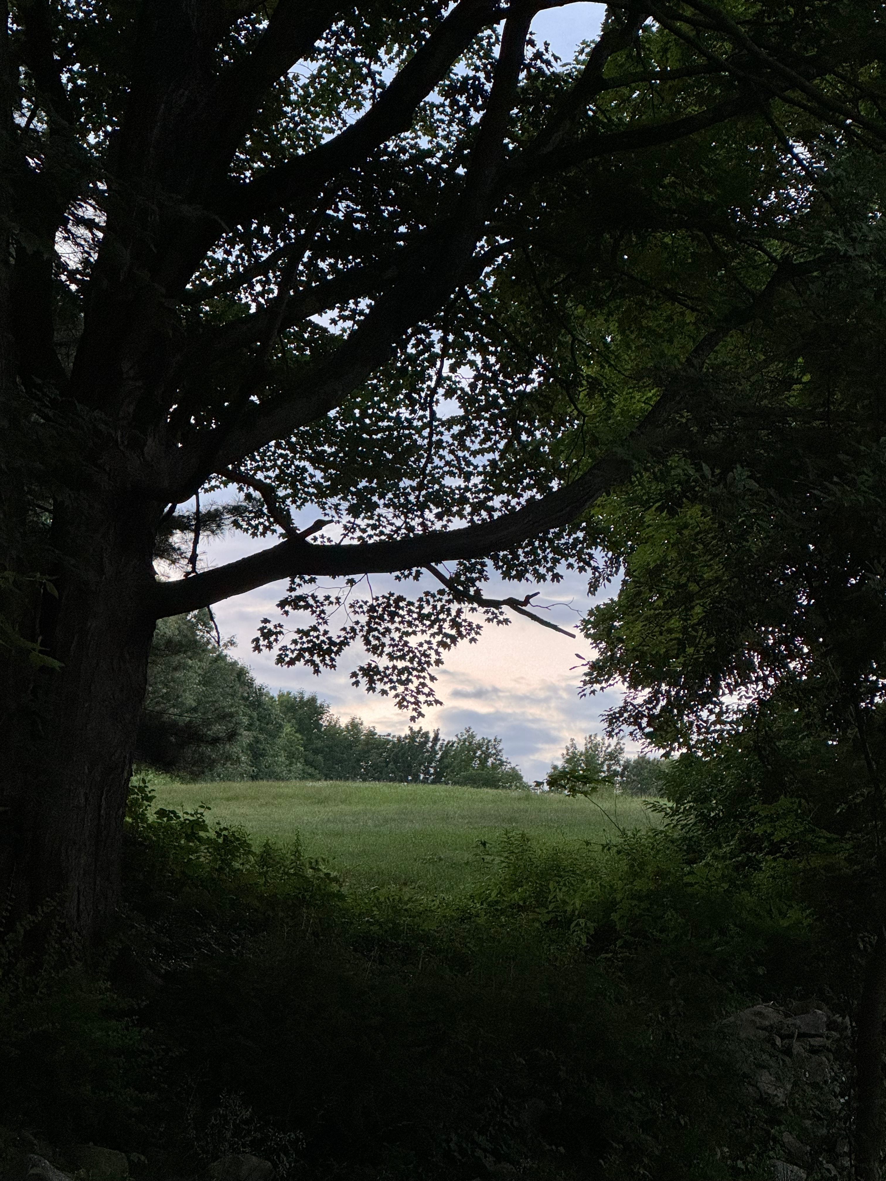 Clover Hill Farm ☘️