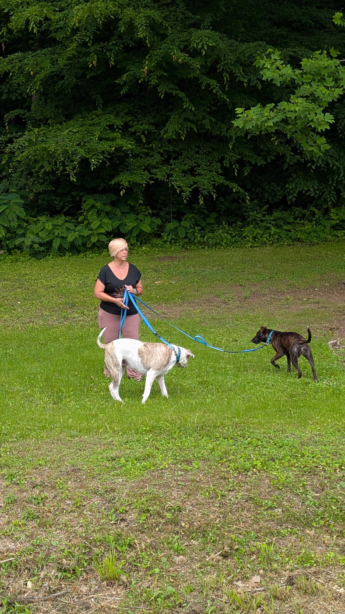 Appalachian Springs Outdoor Resort