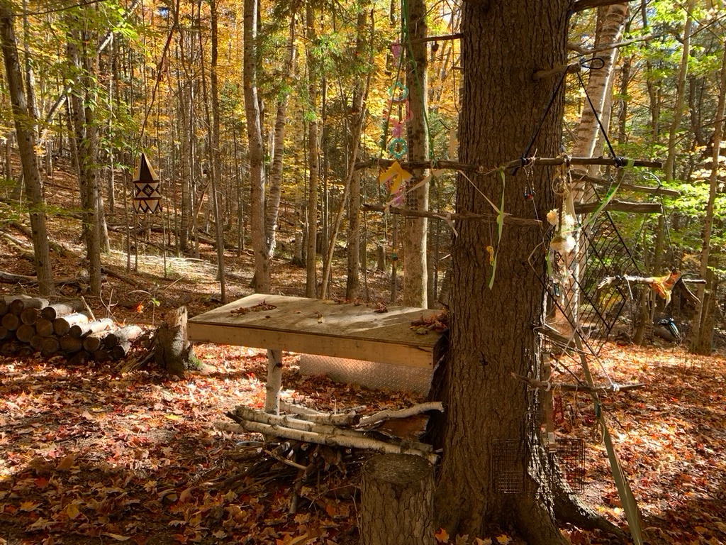 Enchanted Forest Camping
