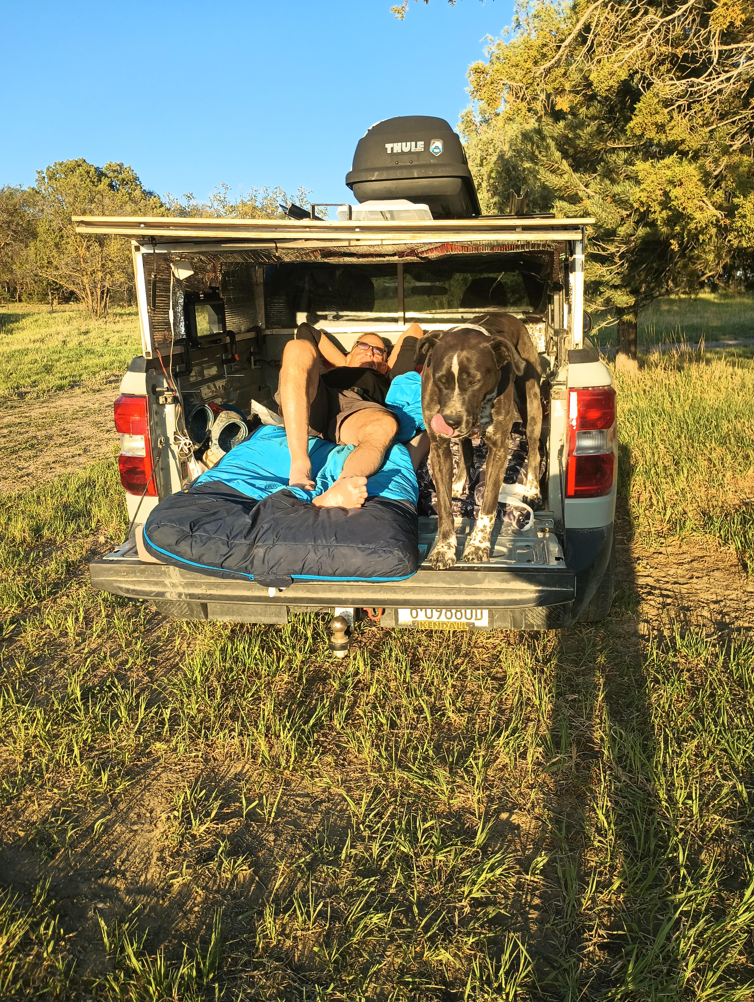 Truck parked by the trees