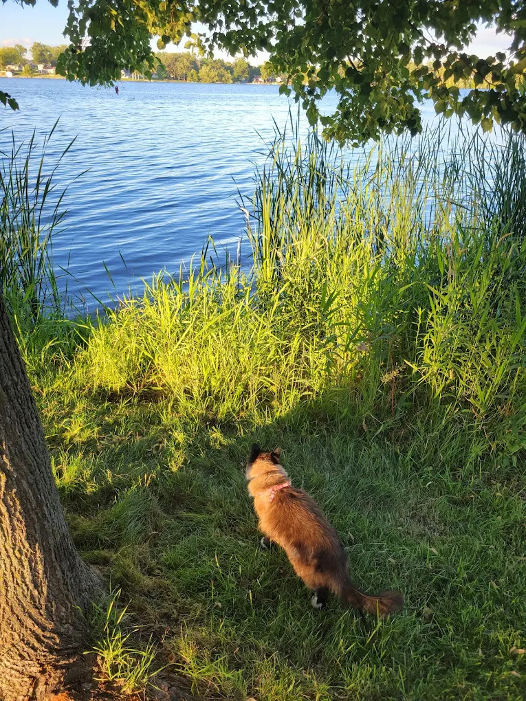 Sinclair Lewis Campground