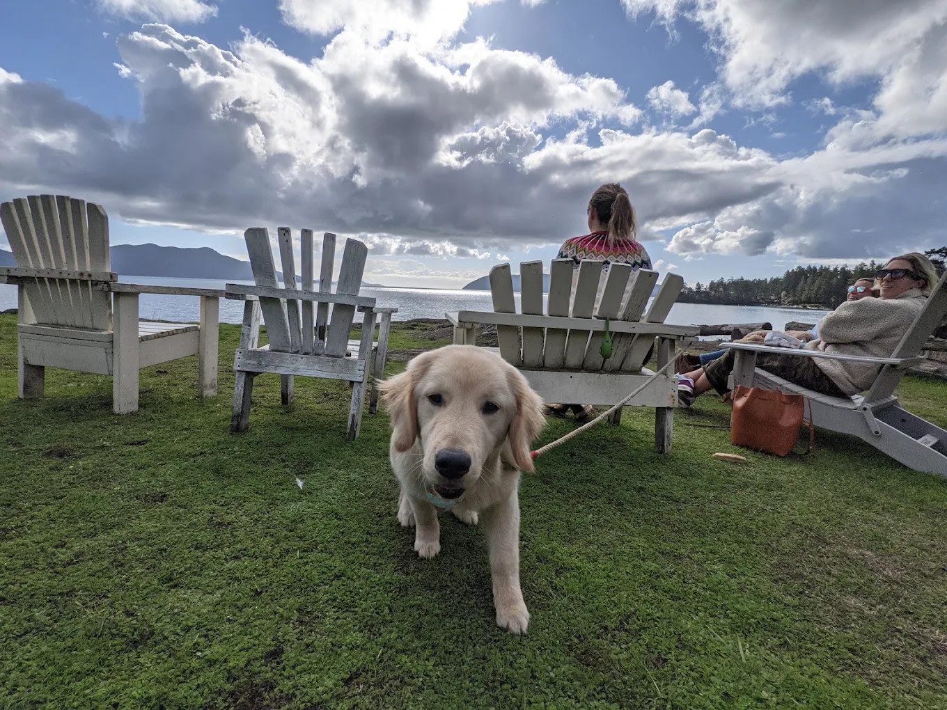 Doe Bay Resort and Retreat