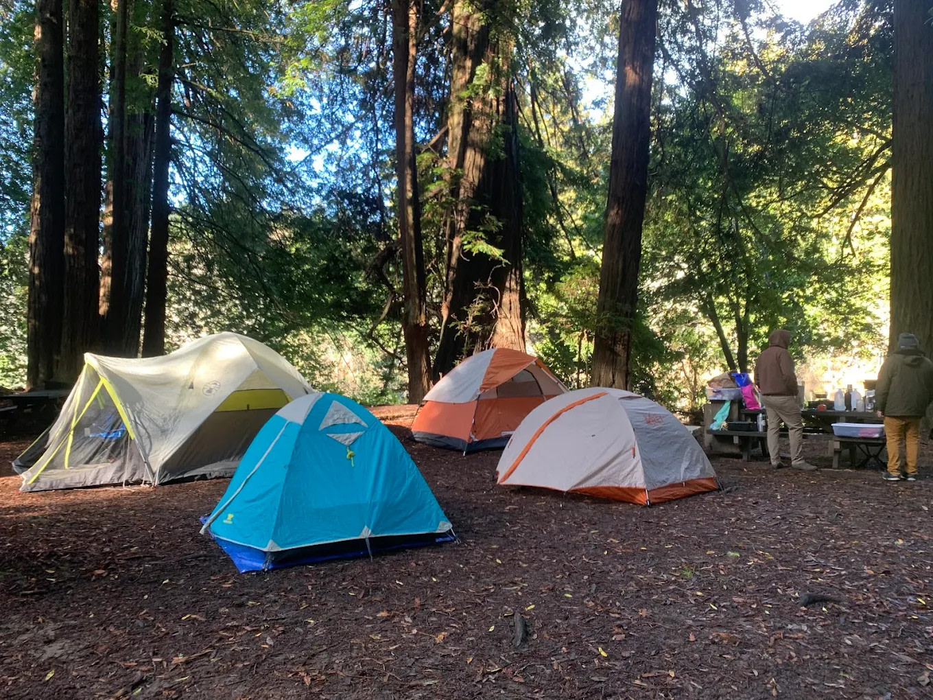 Gualala Point Regional Park