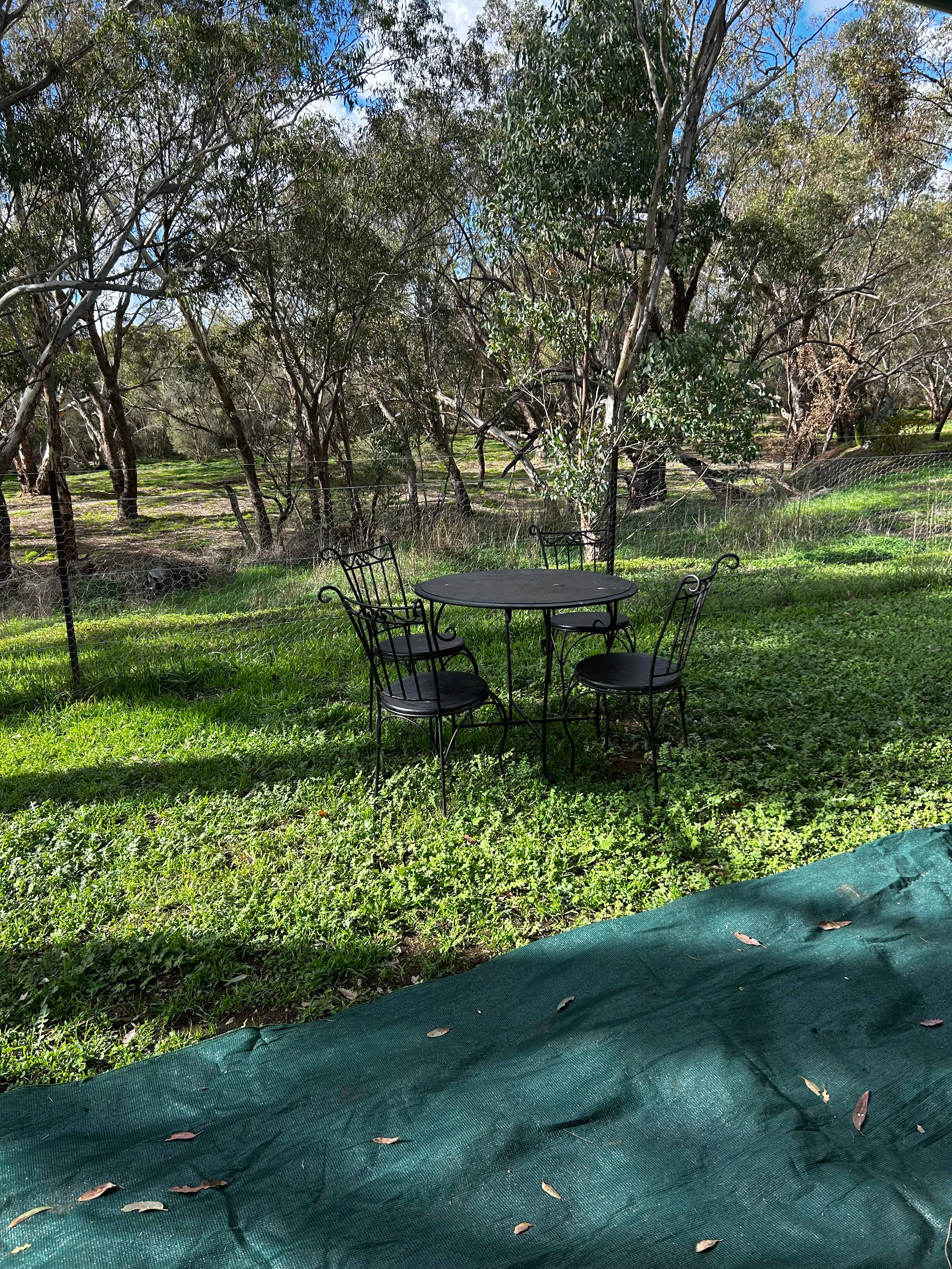 Looking at Avon River from front of van