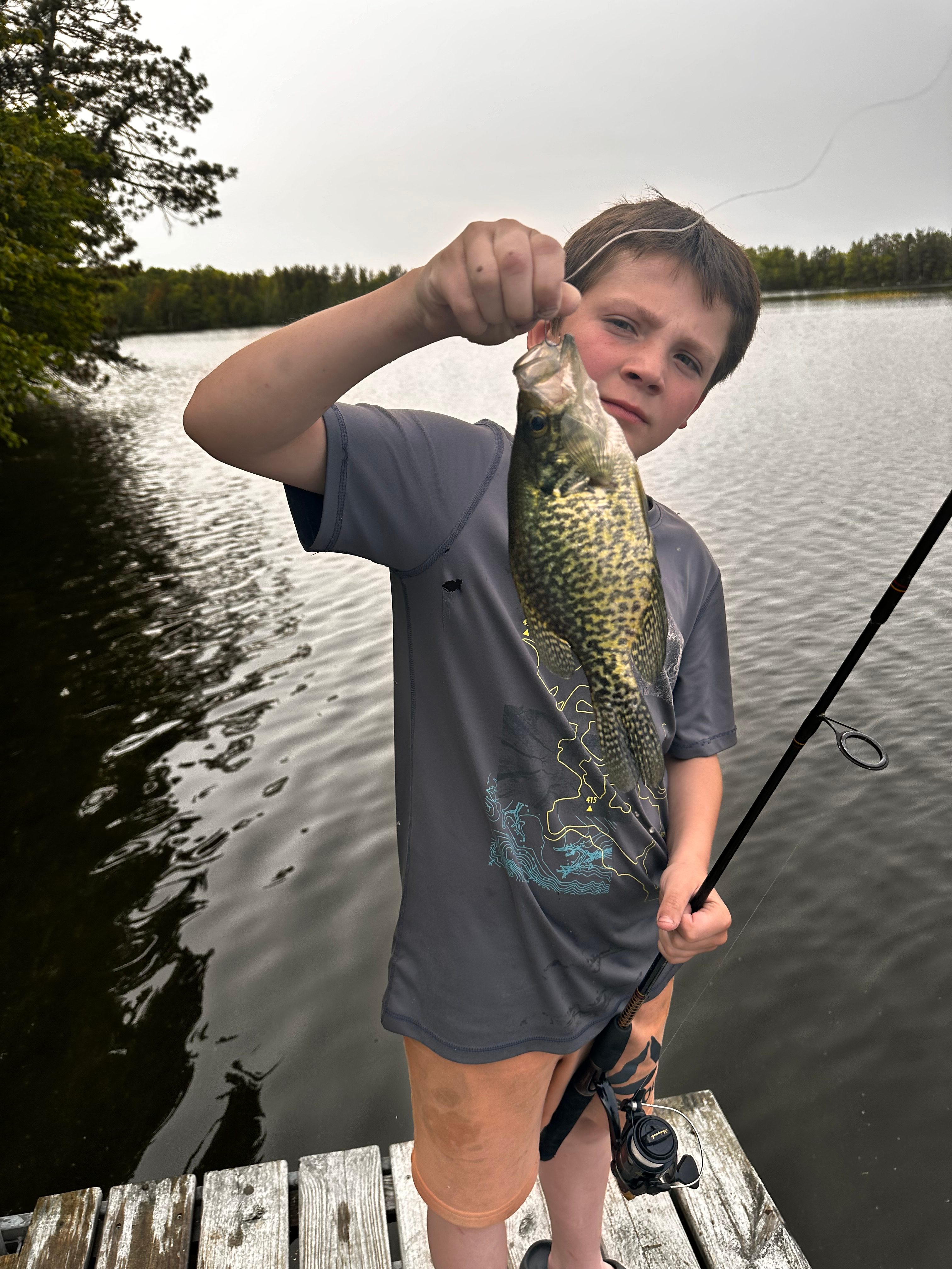 Wise Woods on Fool Lake