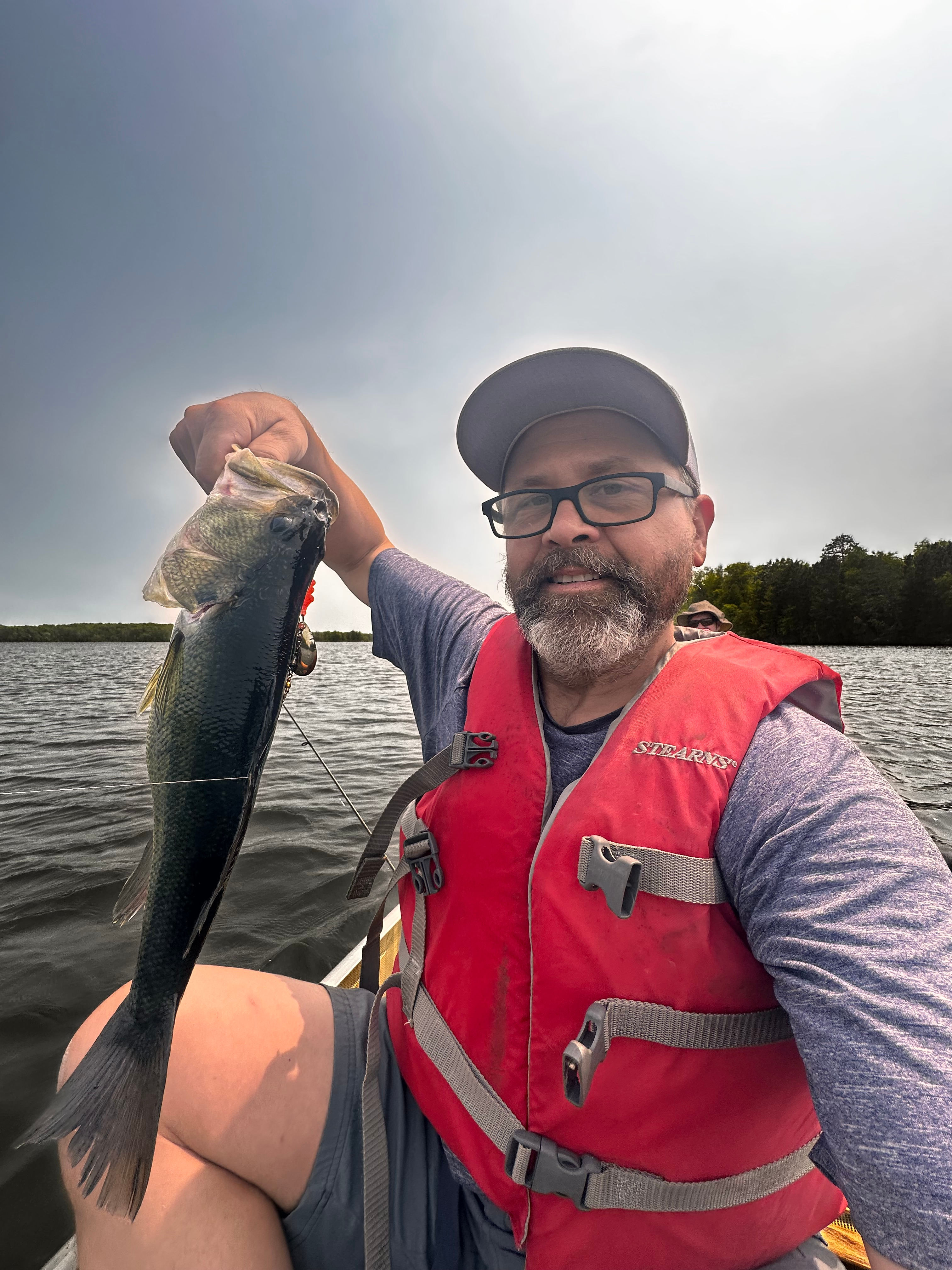 Wise Woods on Fool Lake
