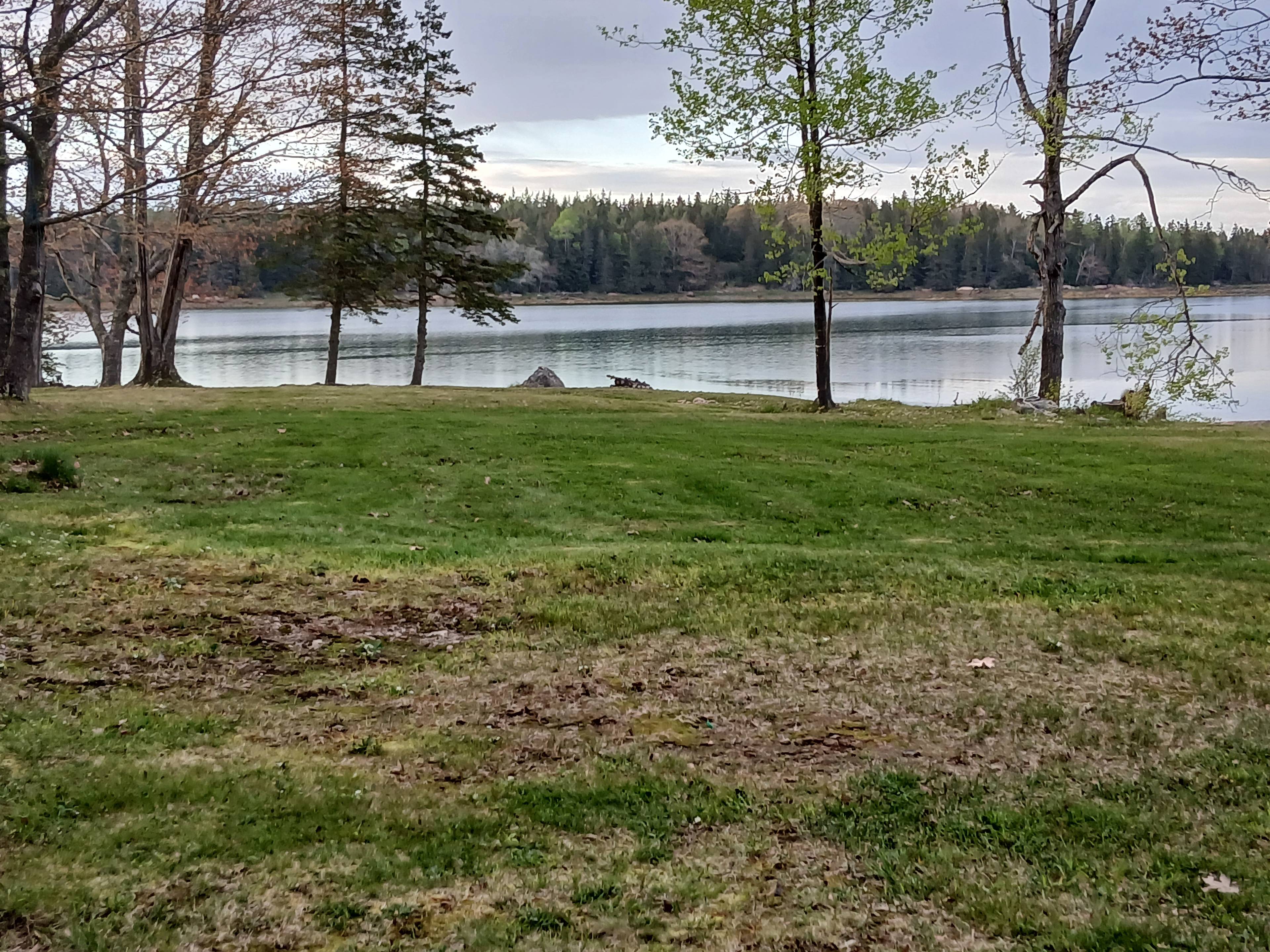 Moreyville Camp Ground