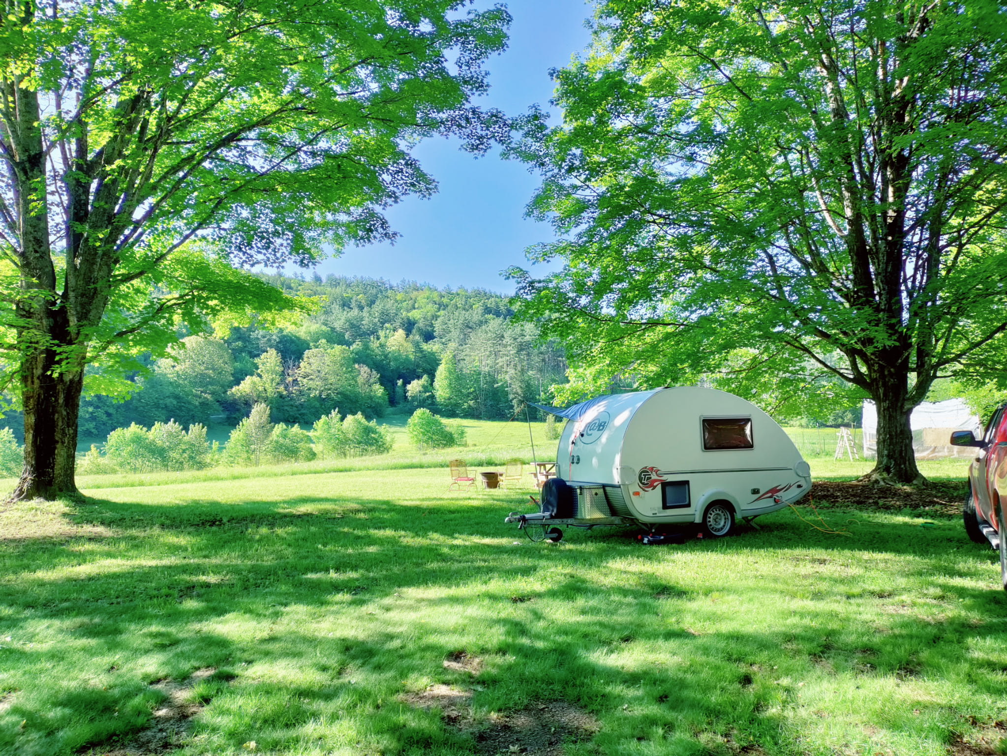 Field & Farm by Ancient Maples