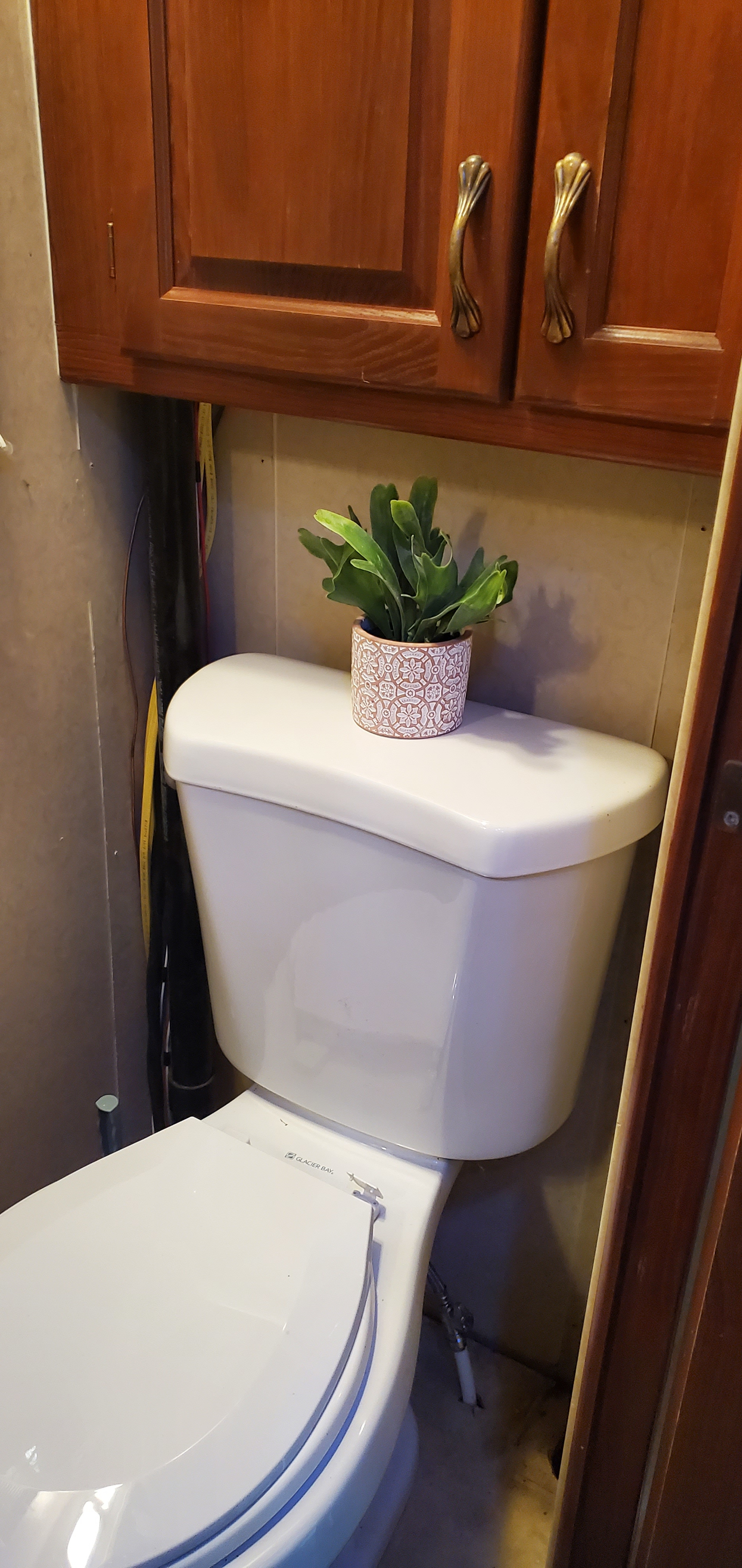 Camp Hope at Hope for Hooves Rescue