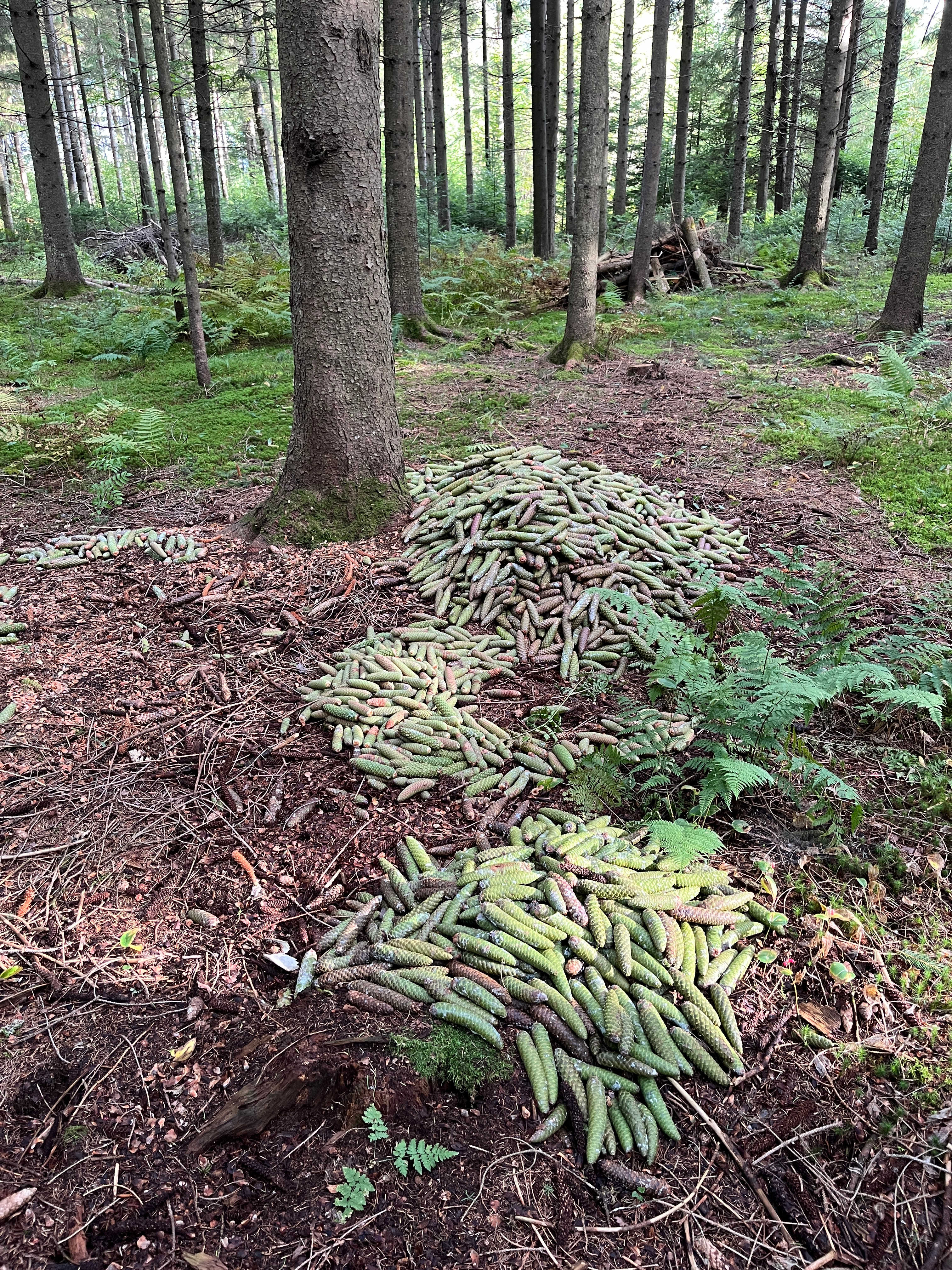 Inverness Adventure Lot