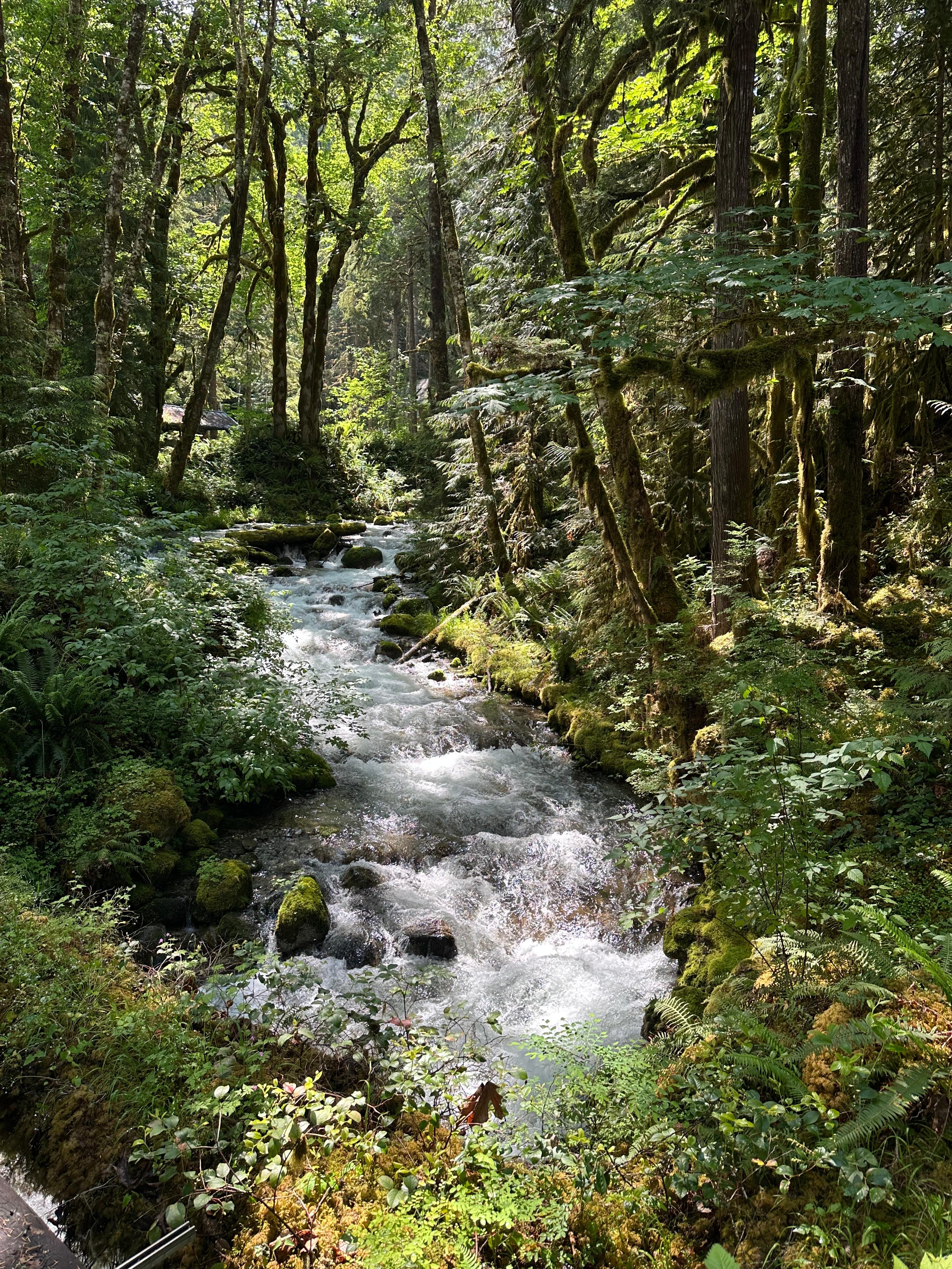 A place by the creek
